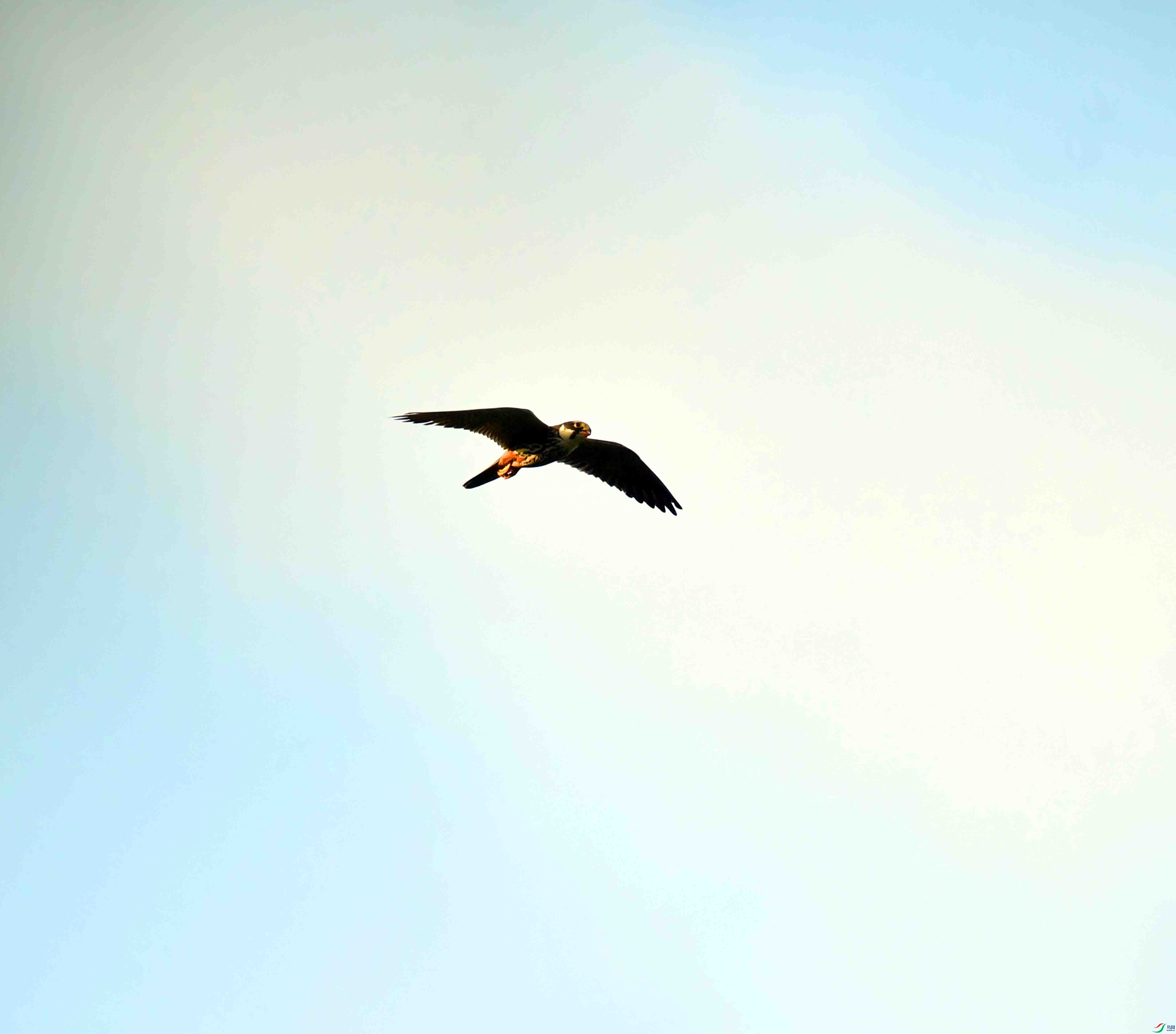 DSC_5070.JPG