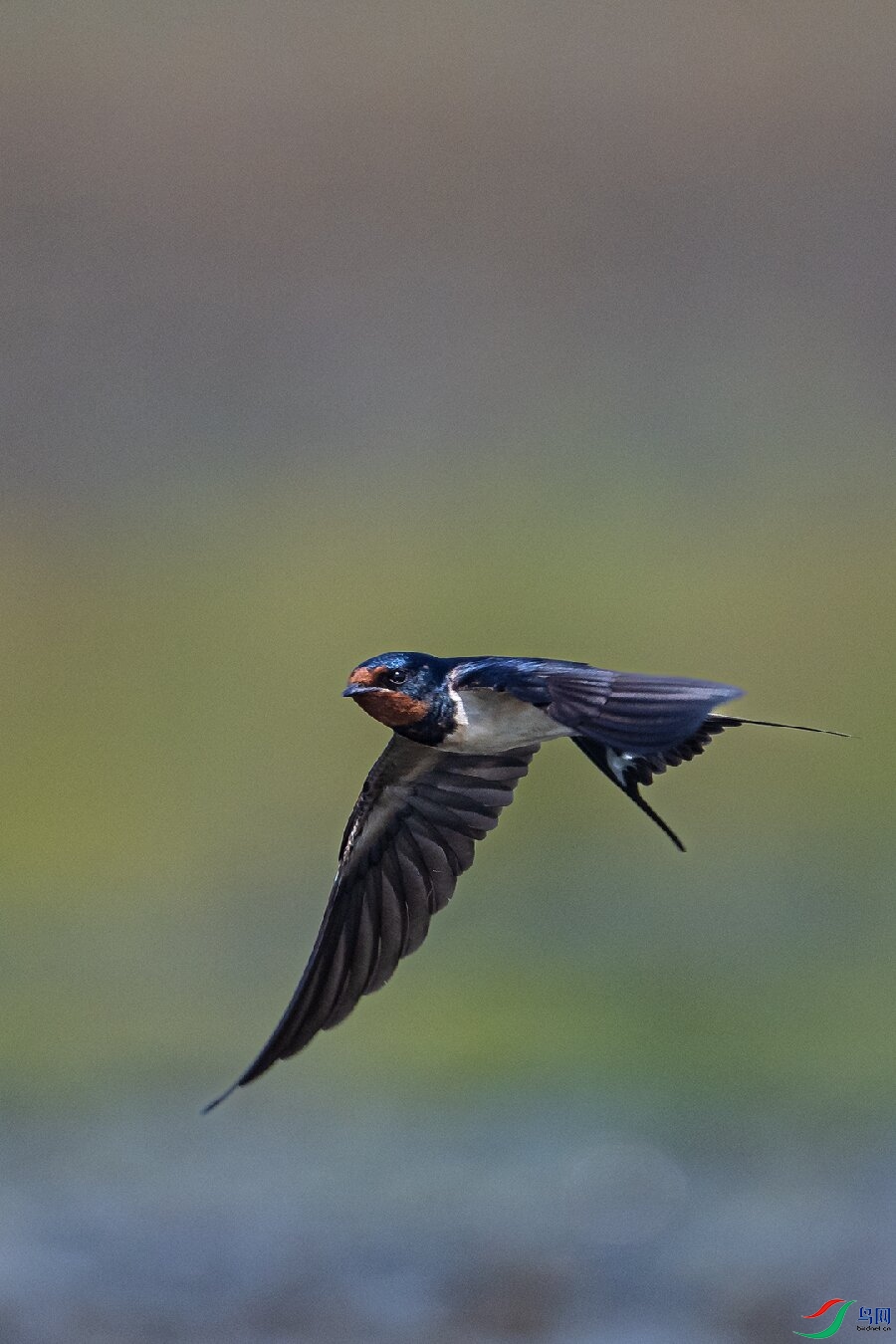 _DSC3714 ����.jpg