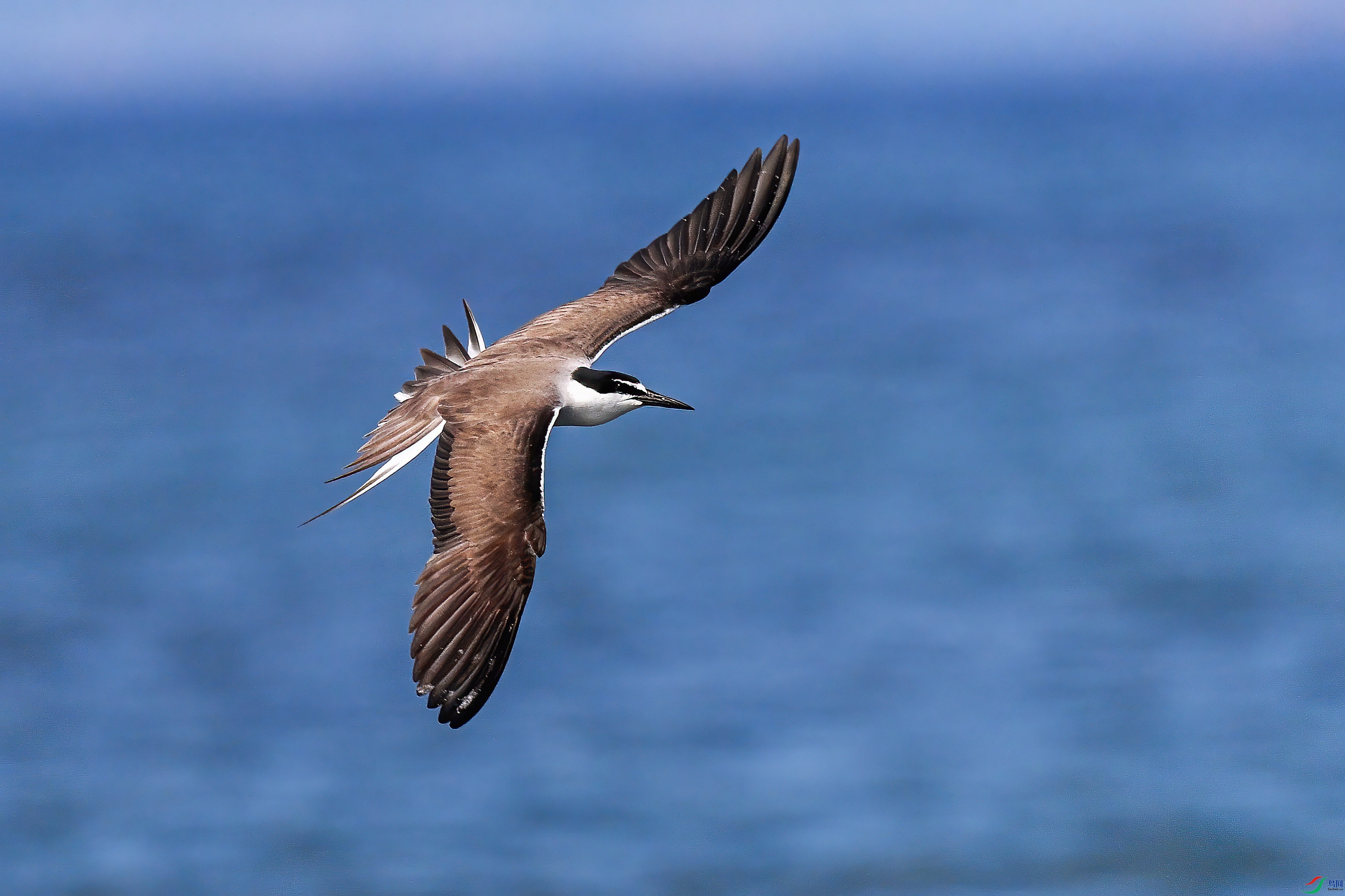 DSC_8074_DxO ����.jpg