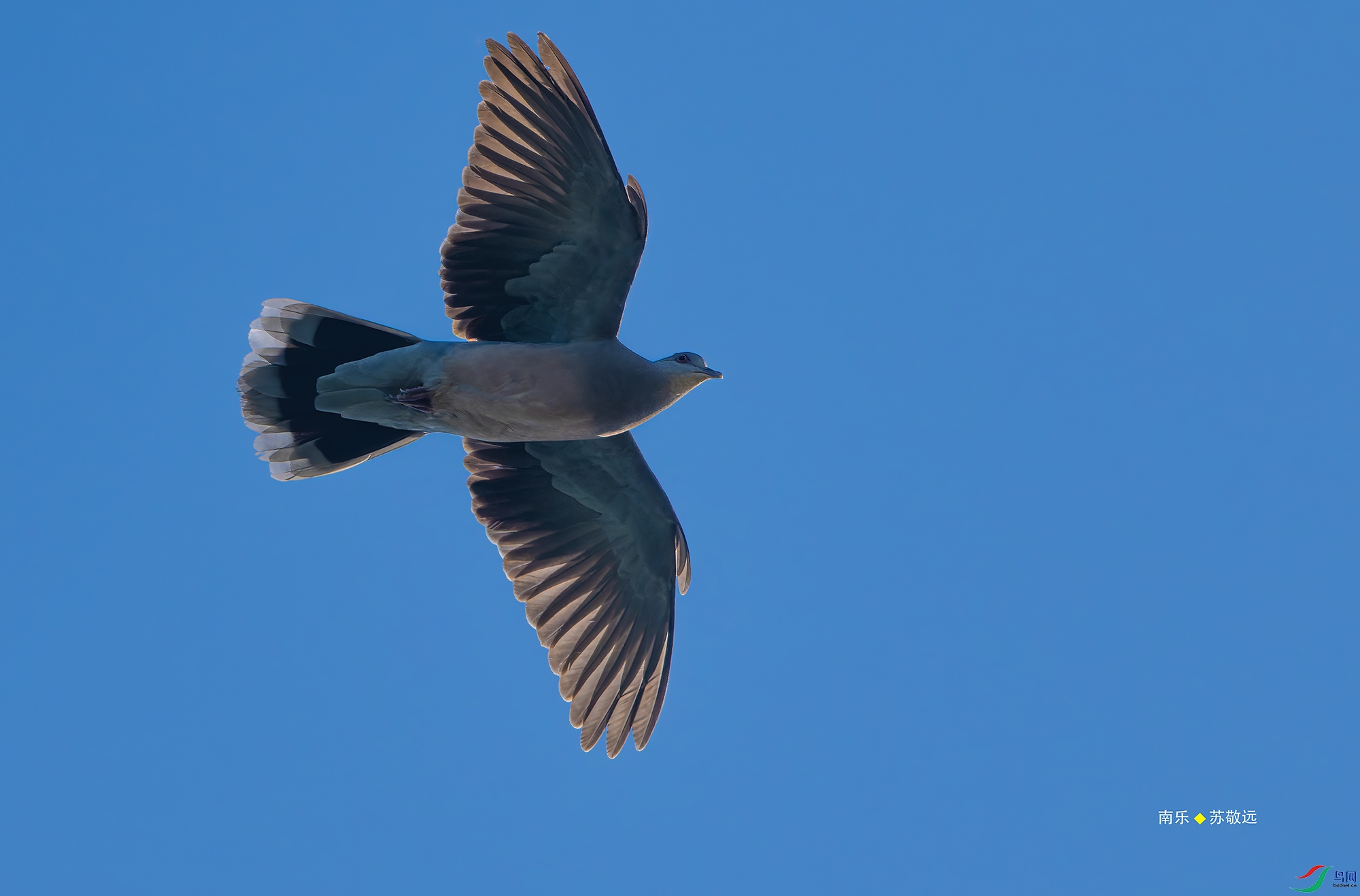 20250428-_DSC0588С.jpg