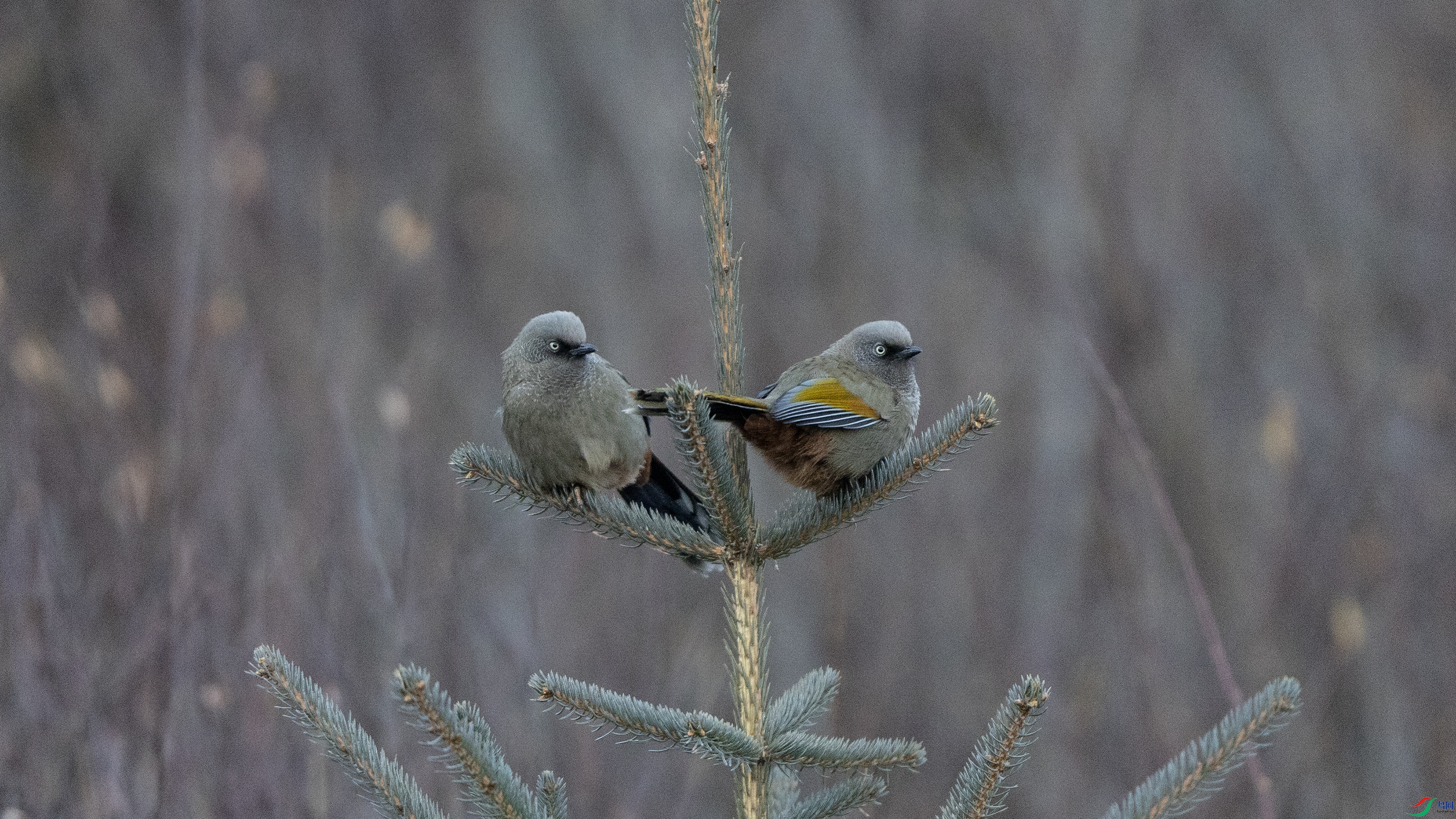 _X5A7304 ����111111.jpg