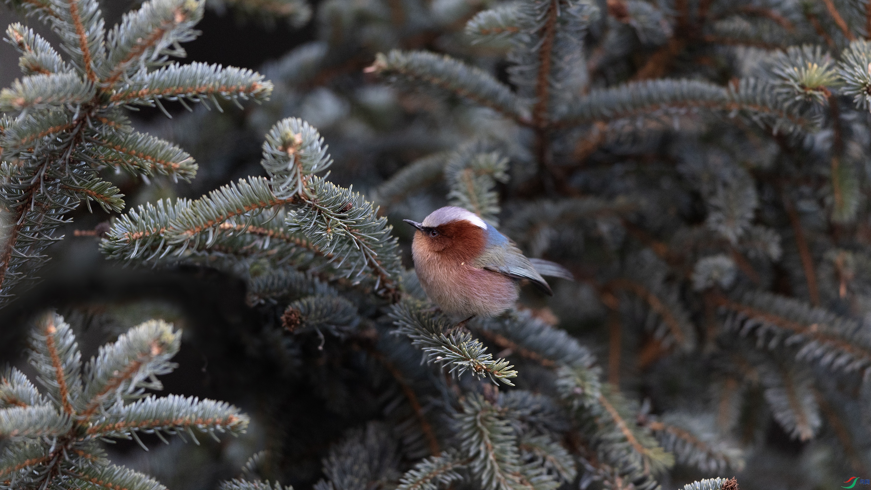 0O7A2625 ����1111.jpg