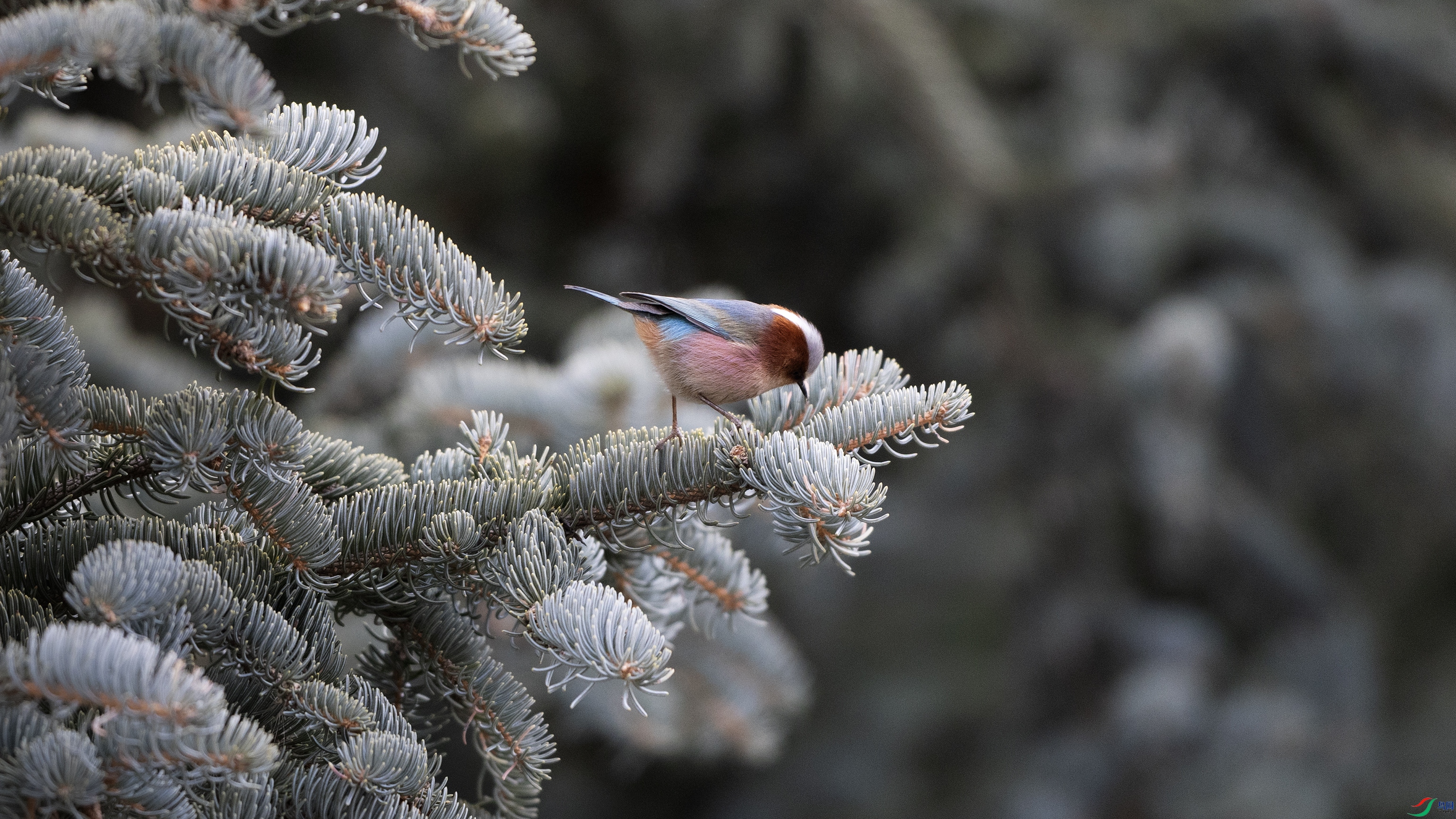 7X5A0509 ����111.jpg