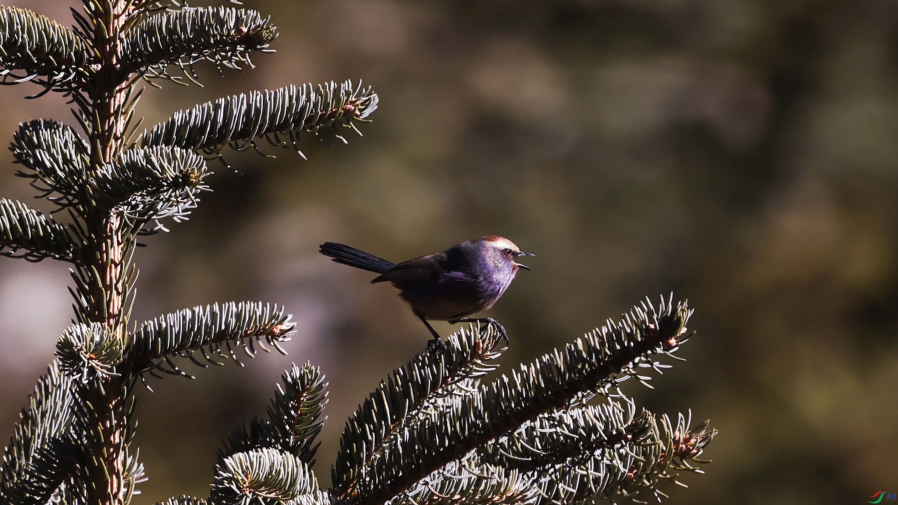 381A9887 ����1111.jpg