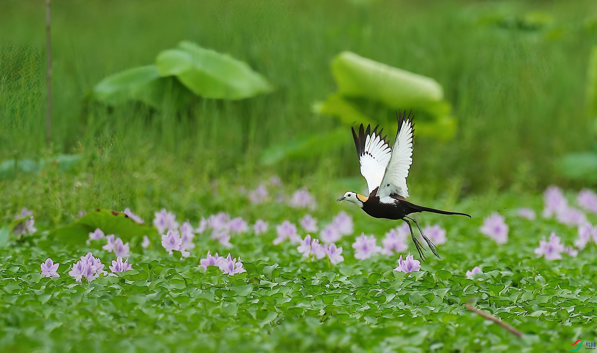 B43I7600-SharpenAI-Motion.jpg