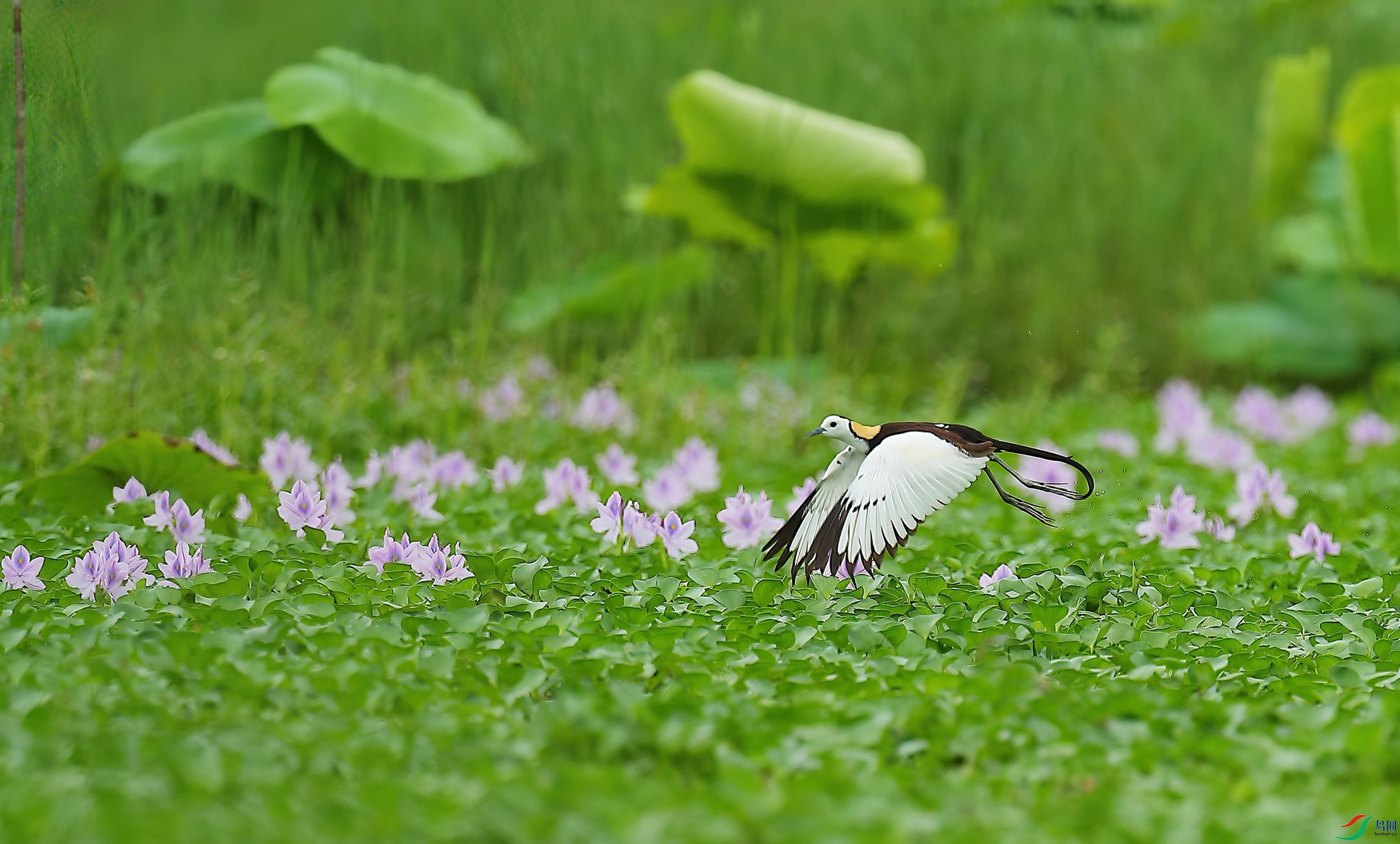 B43I7599-SharpenAI-Motion.jpg