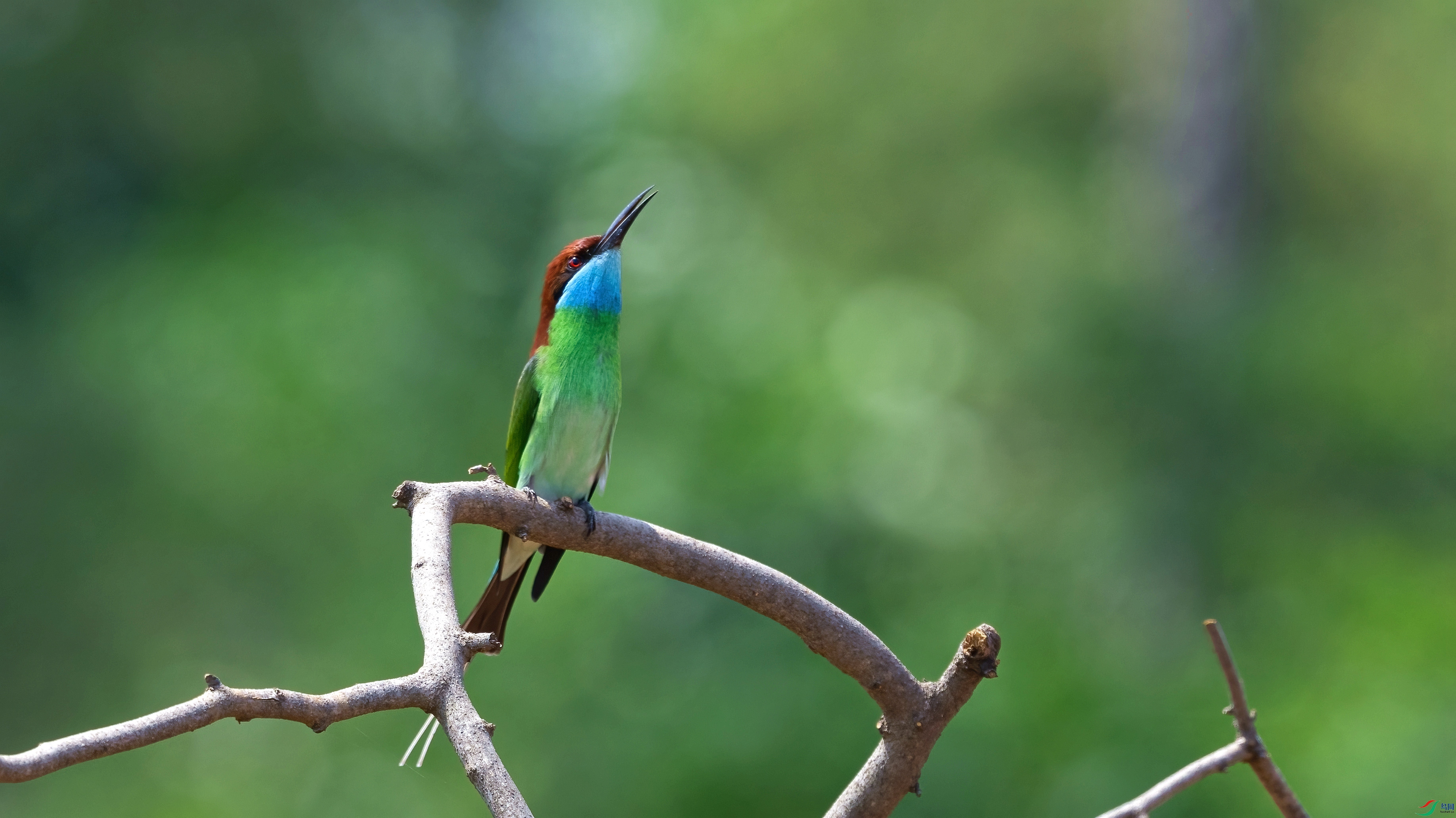 DSC_4765.jpg