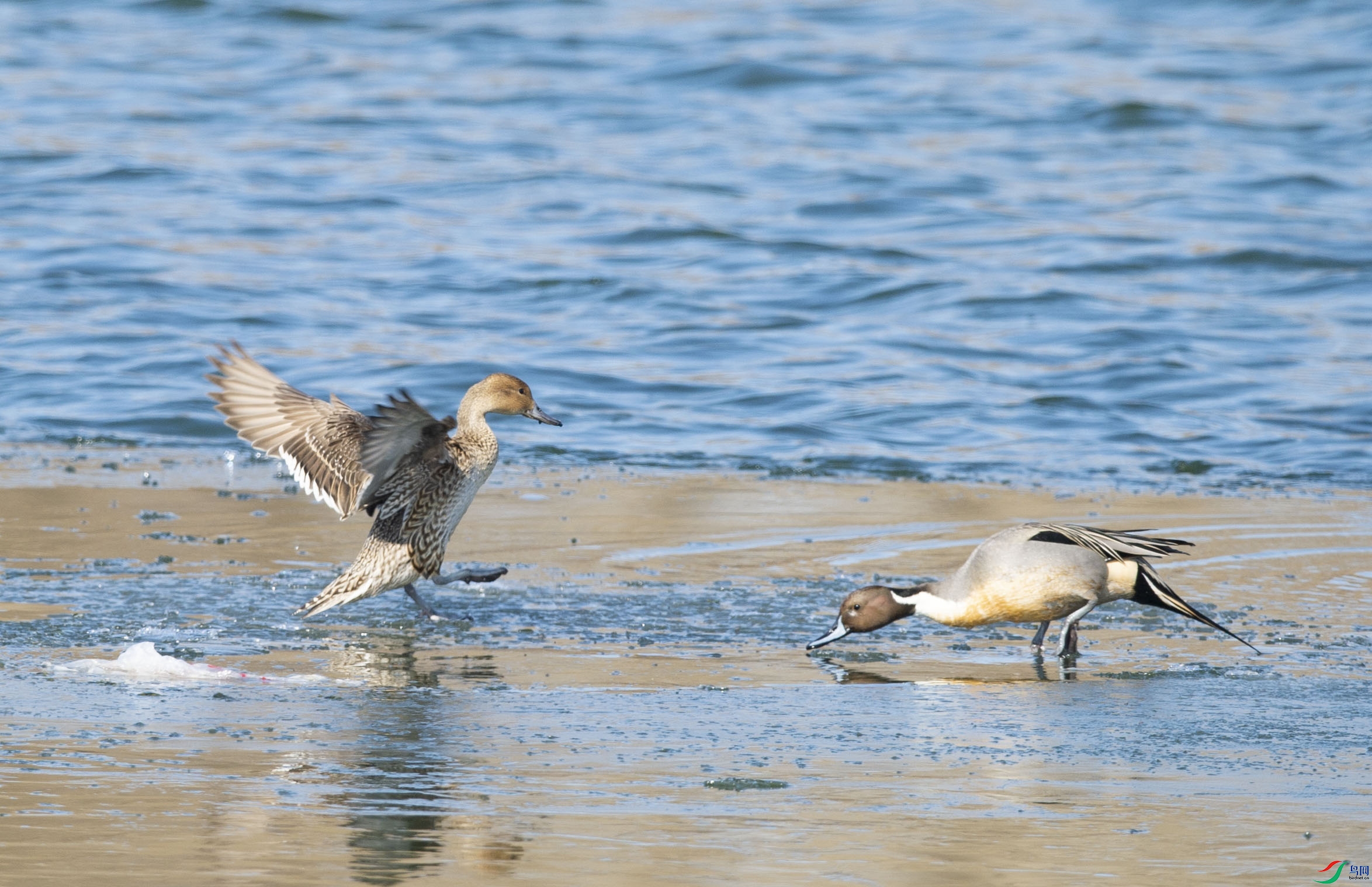 DSC_5136.jpg