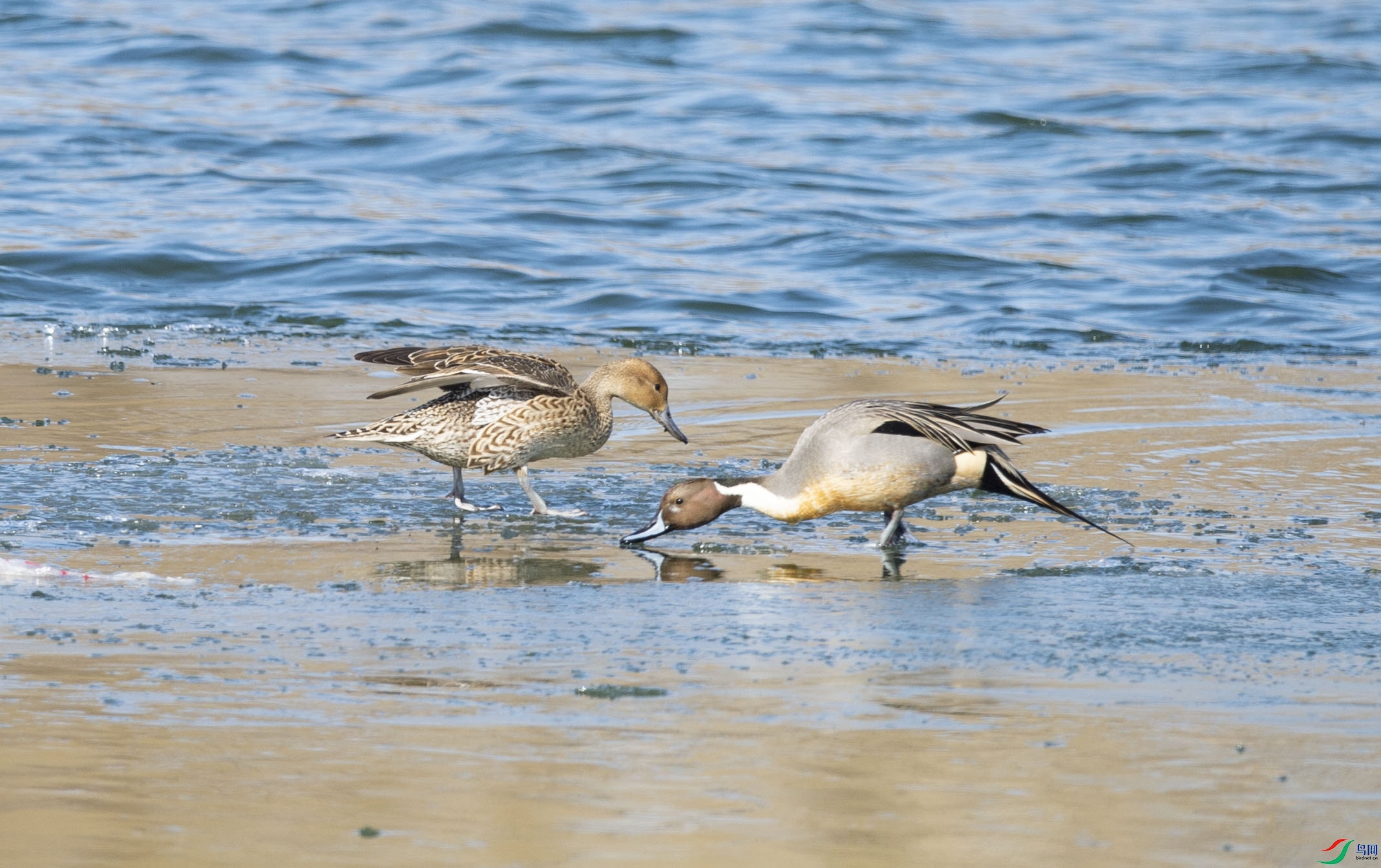 DSC_5139.jpg
