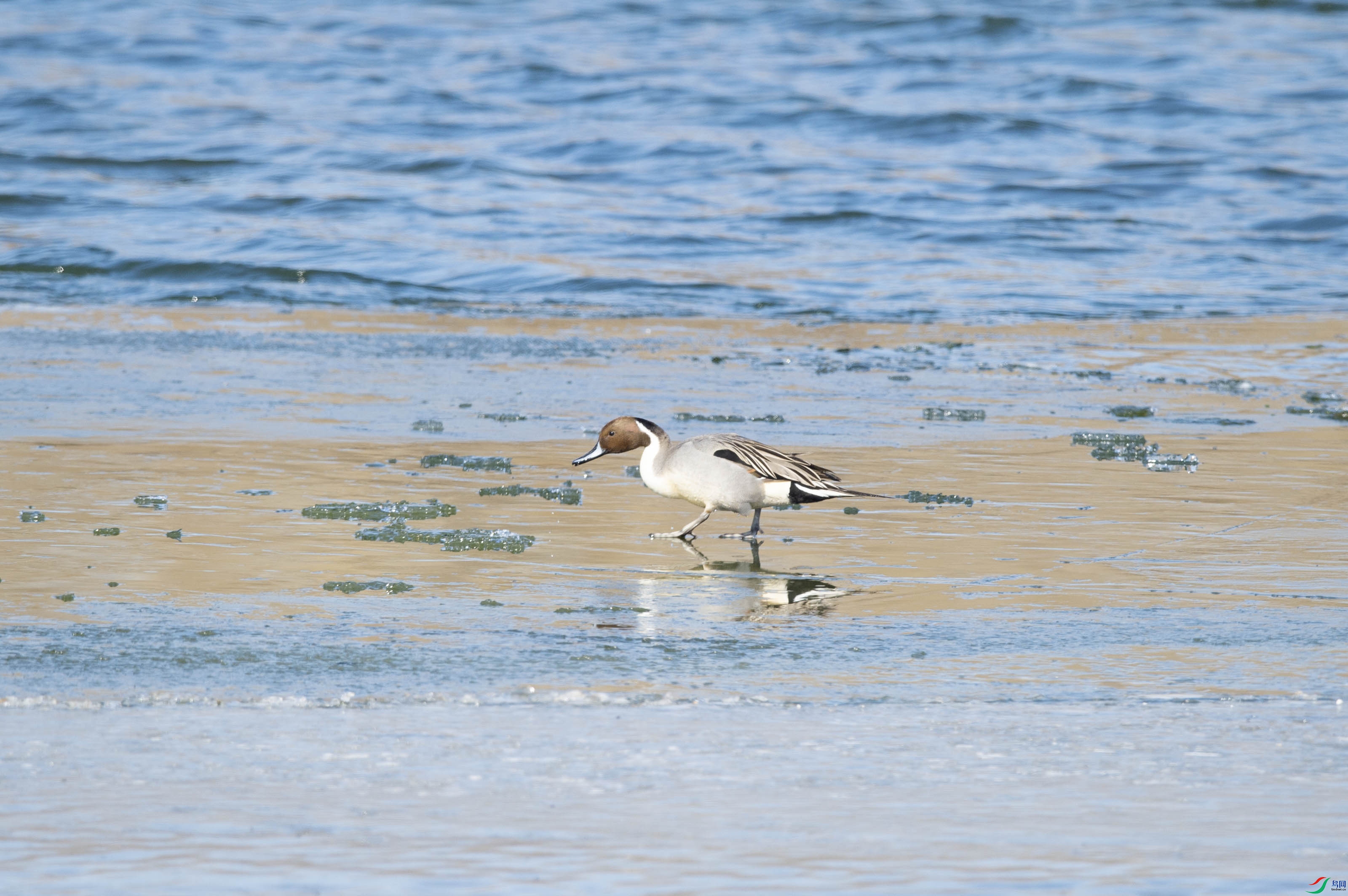 DSC_5190.jpg