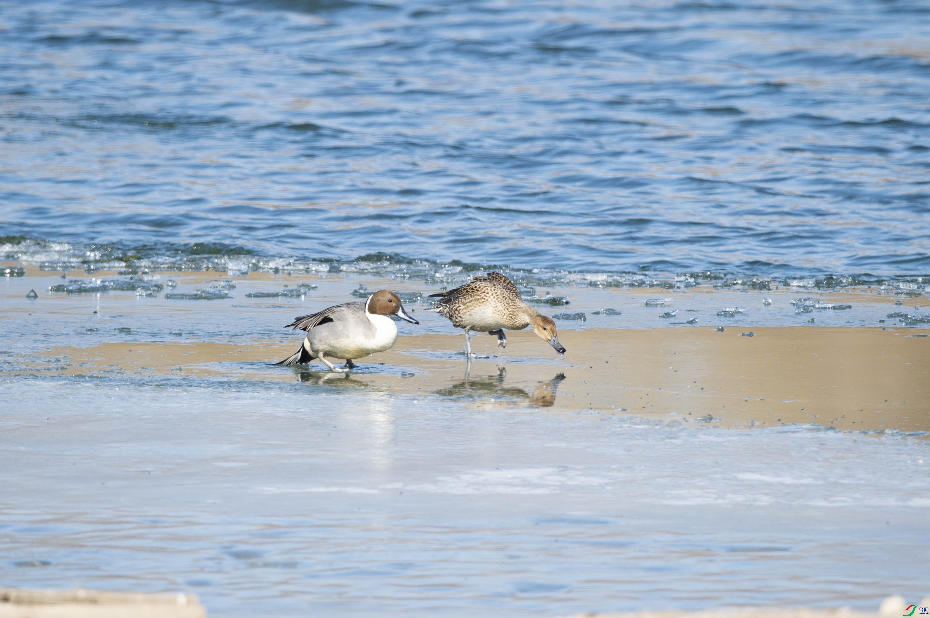 DSC_5212.jpg
