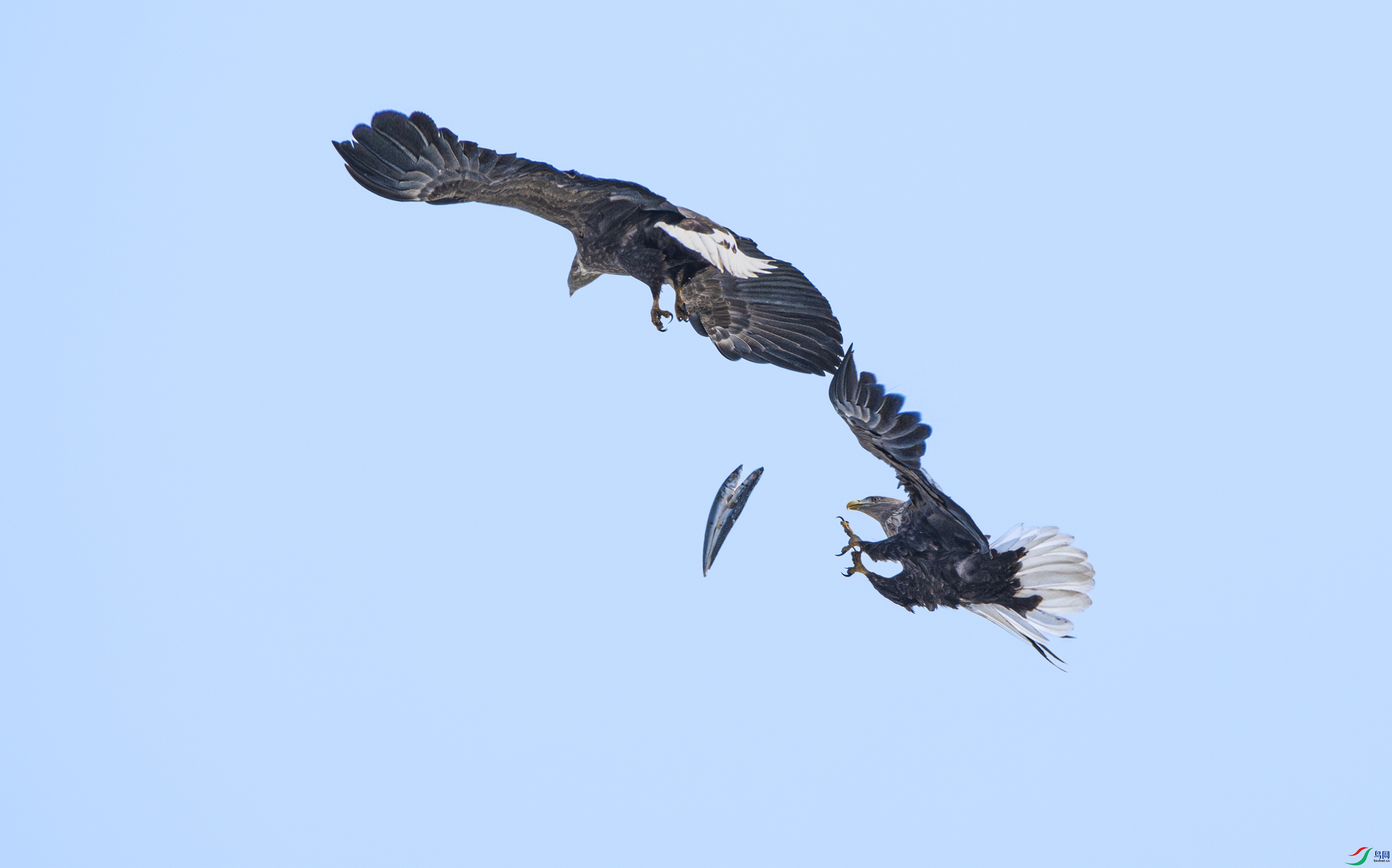 DSC_7454.jpg