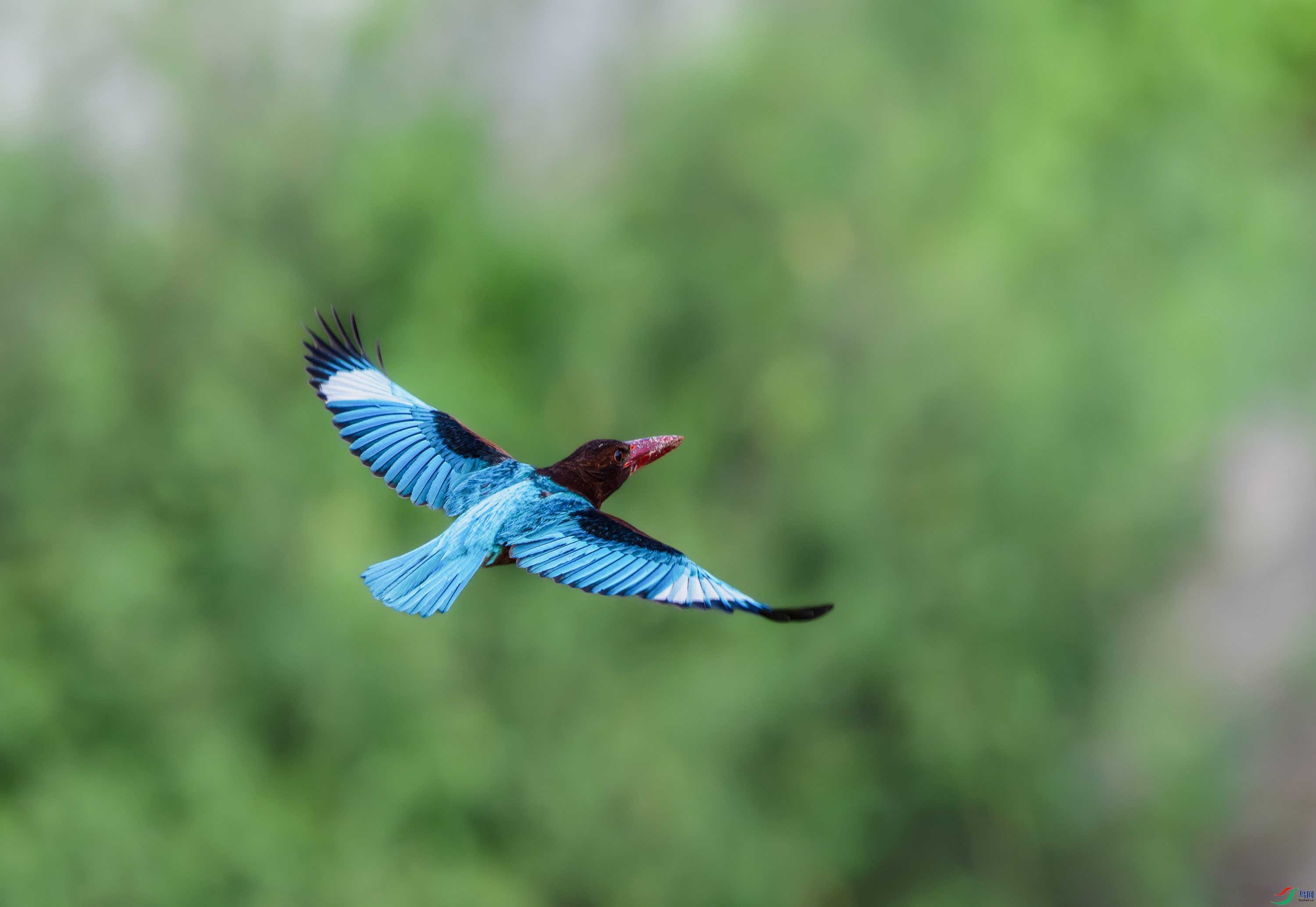 DSC_8656.jpg