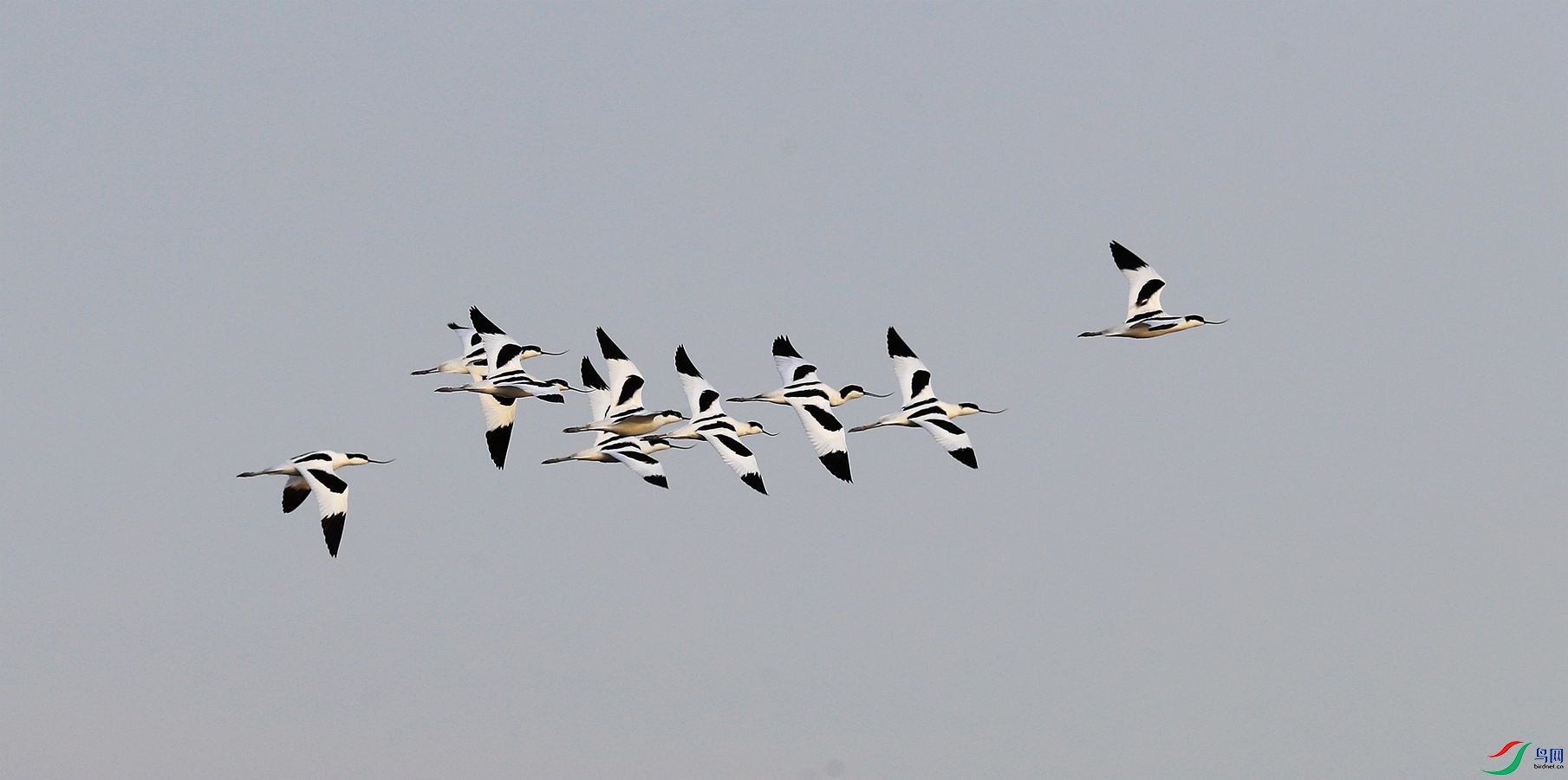 104.jpg