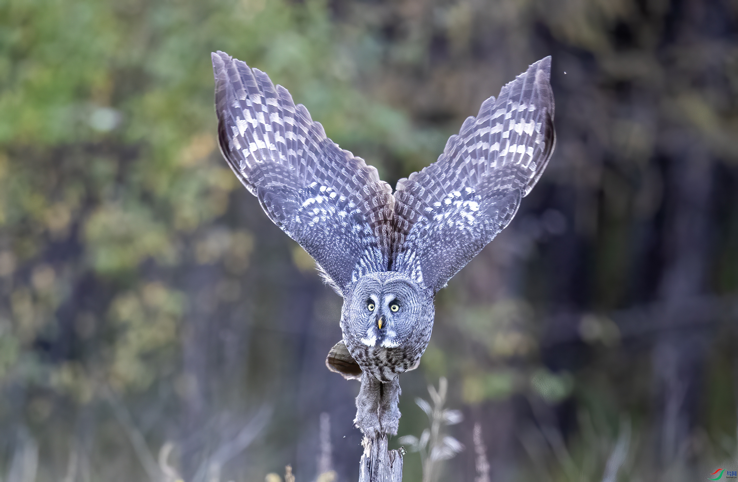 AC3I7099 ����.jpg