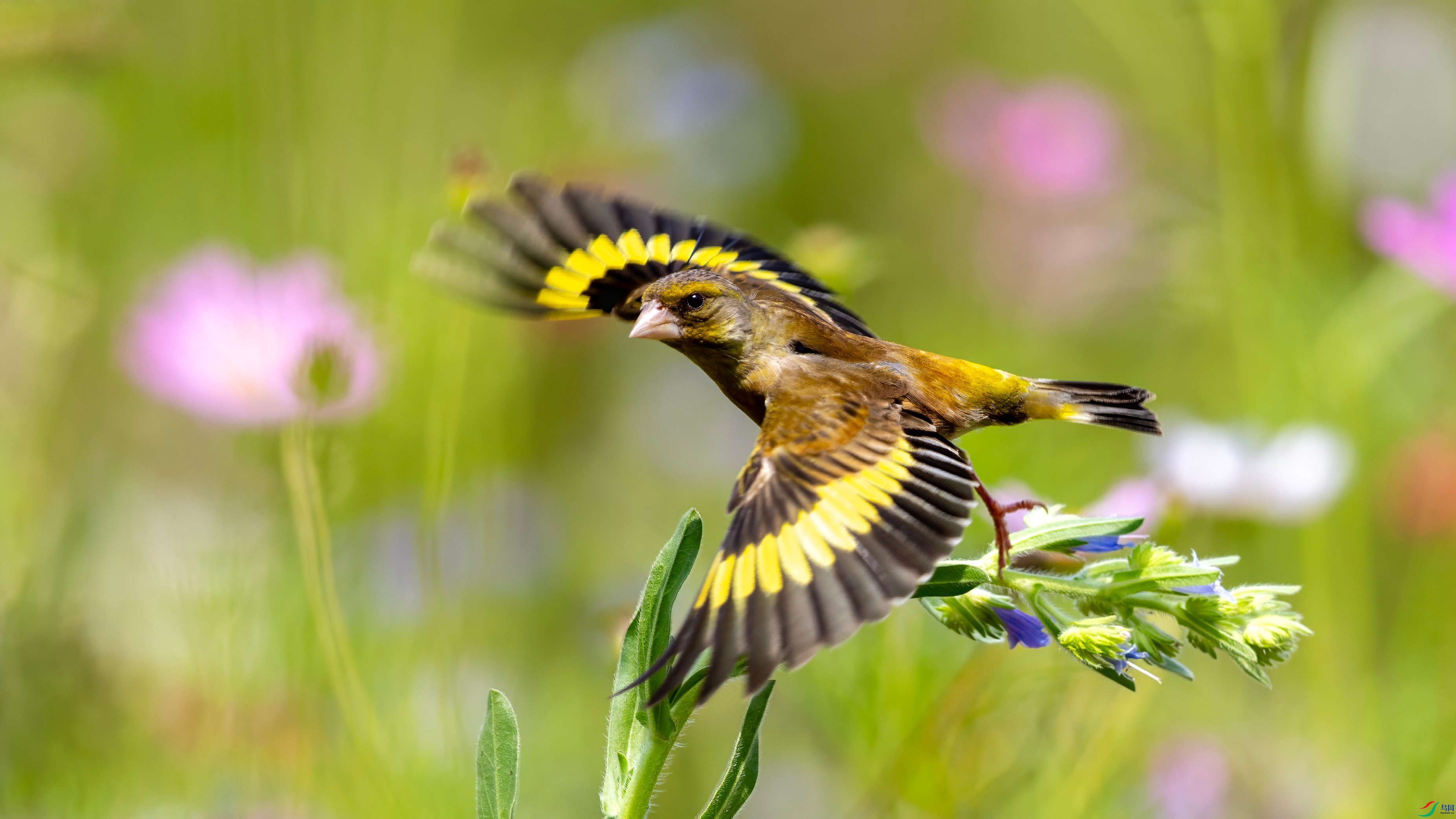 R5_24093 ����_����.jpg