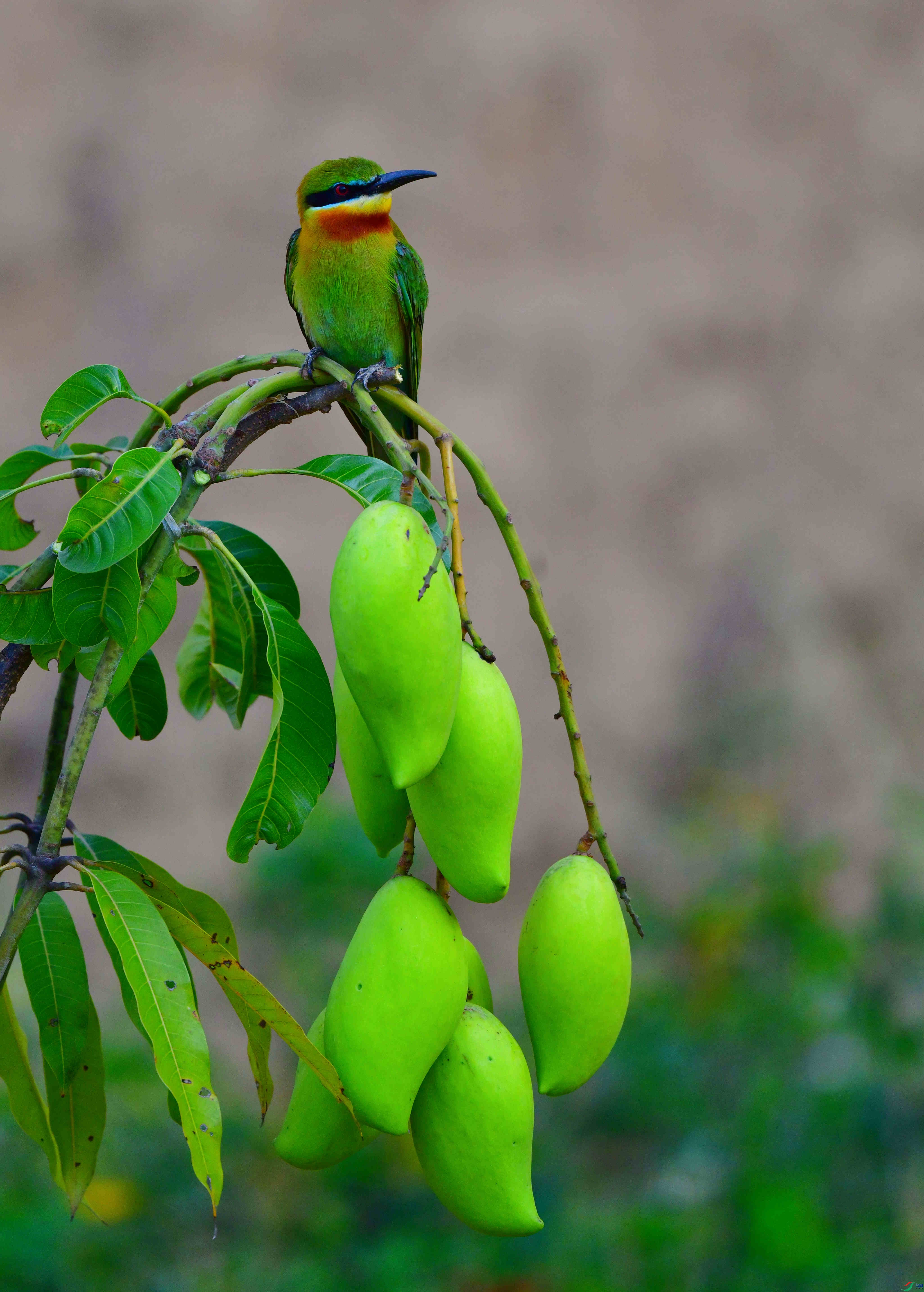 DSC_2304_��ͼ��_����.jpg