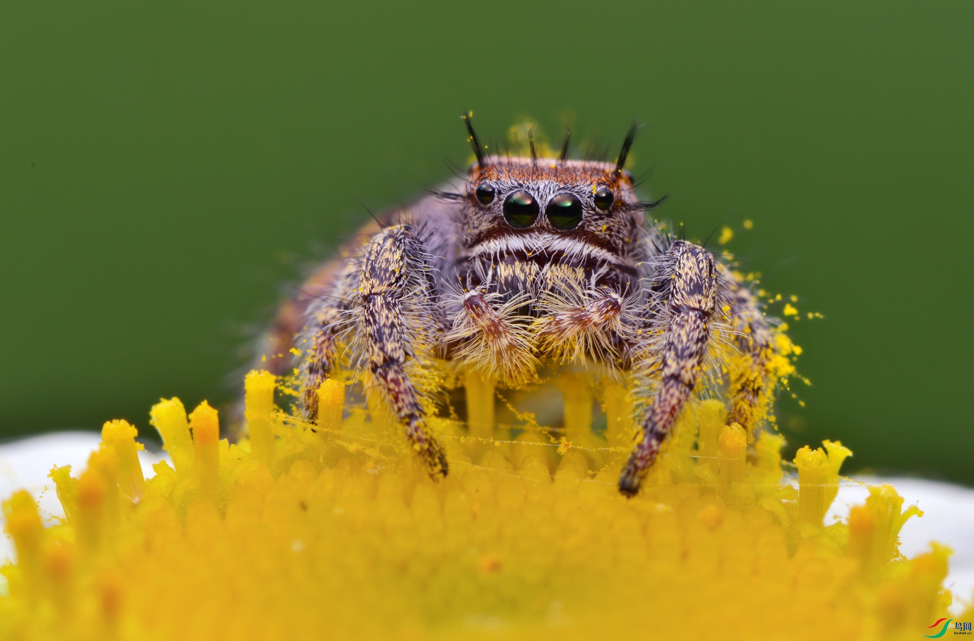 DSC_8088 ����..jpg