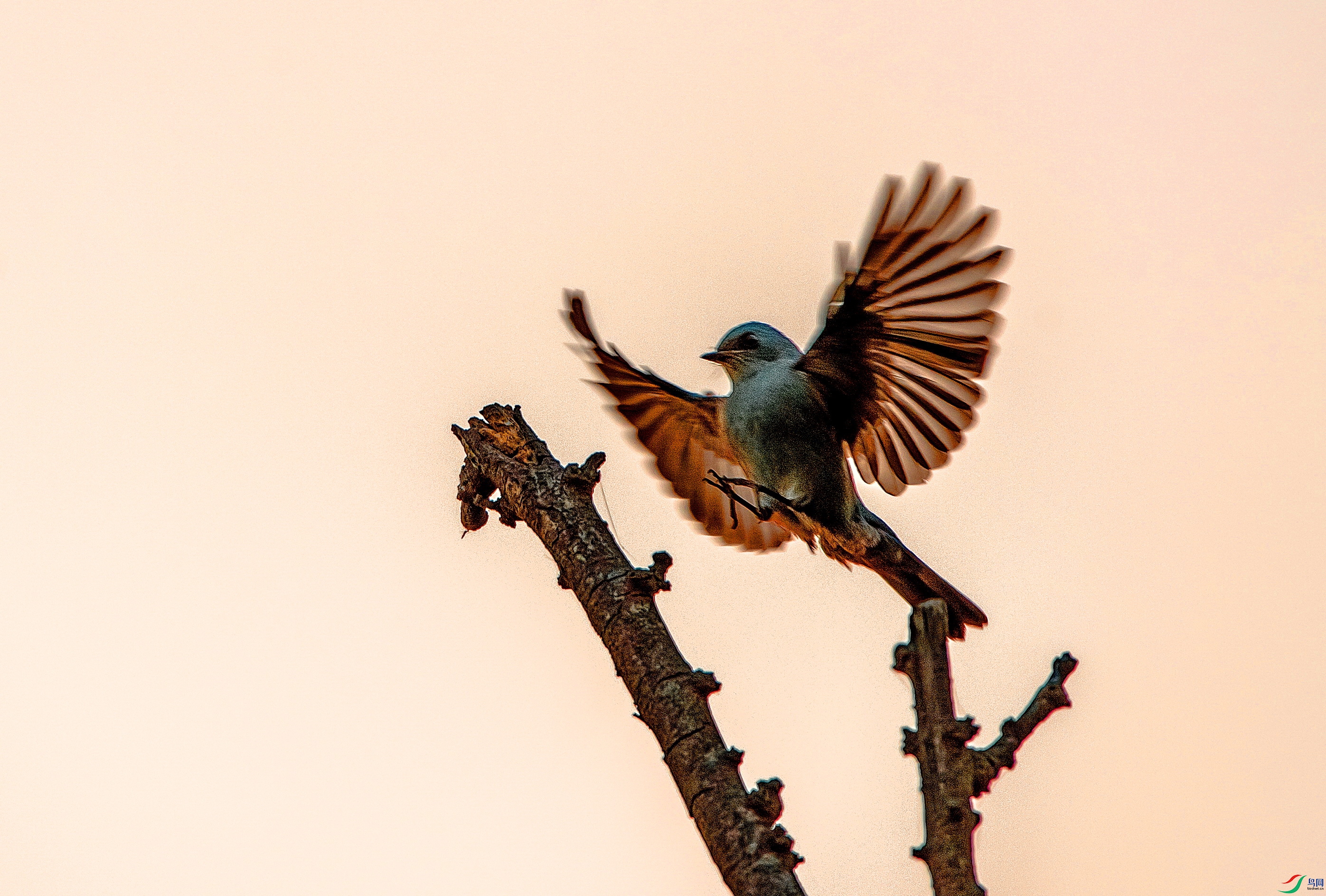 DSC_5601.jpg