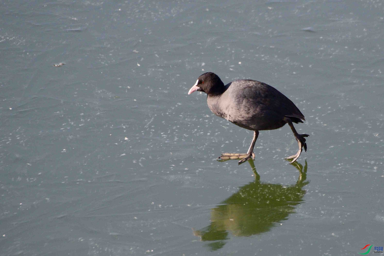 DSC_9444.JPG
