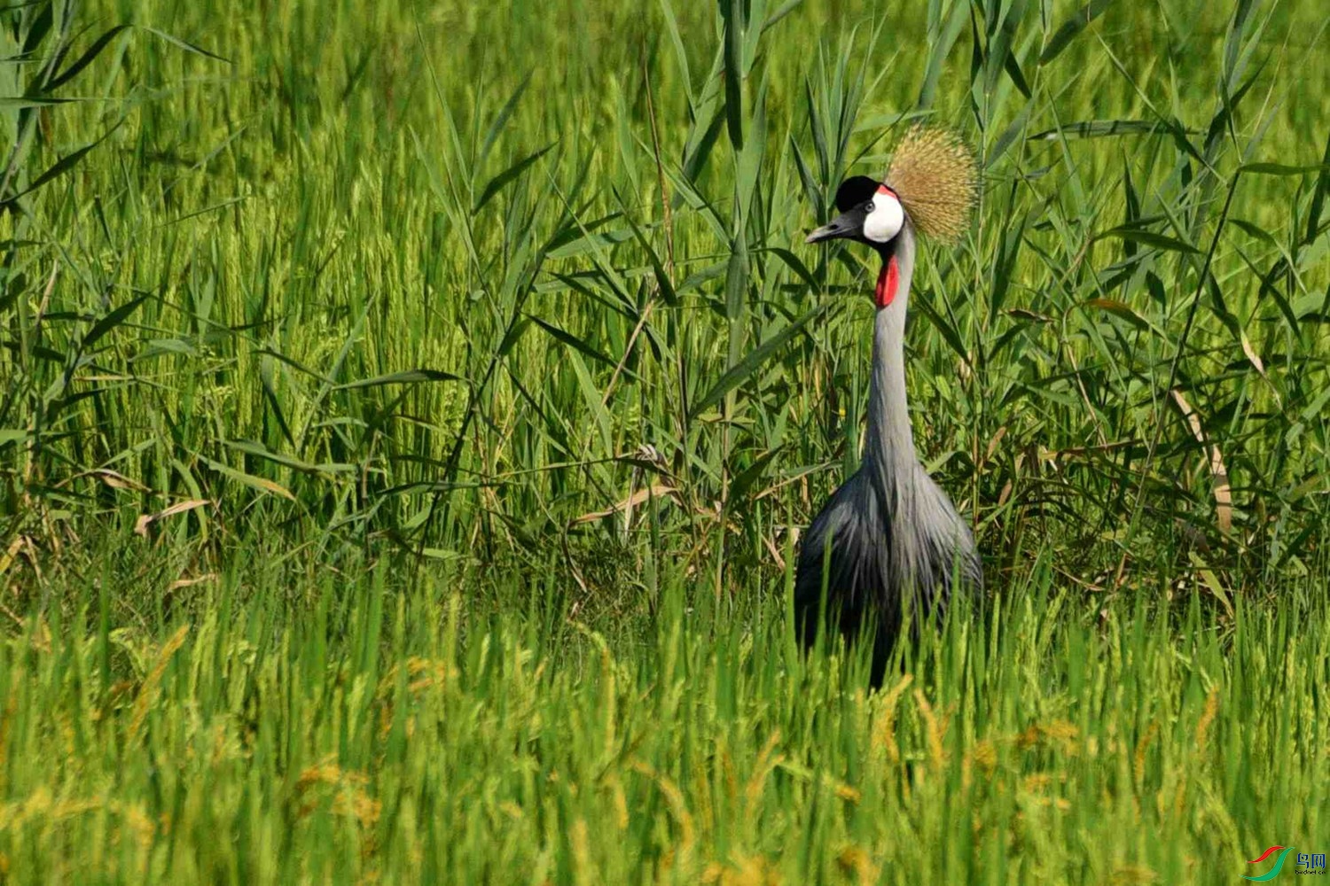 DSC_5370.JPG