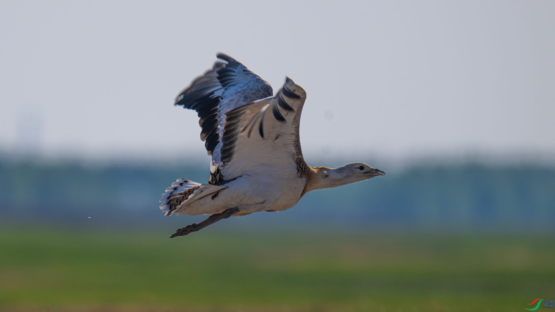 _DSC3384-1x11.jpg