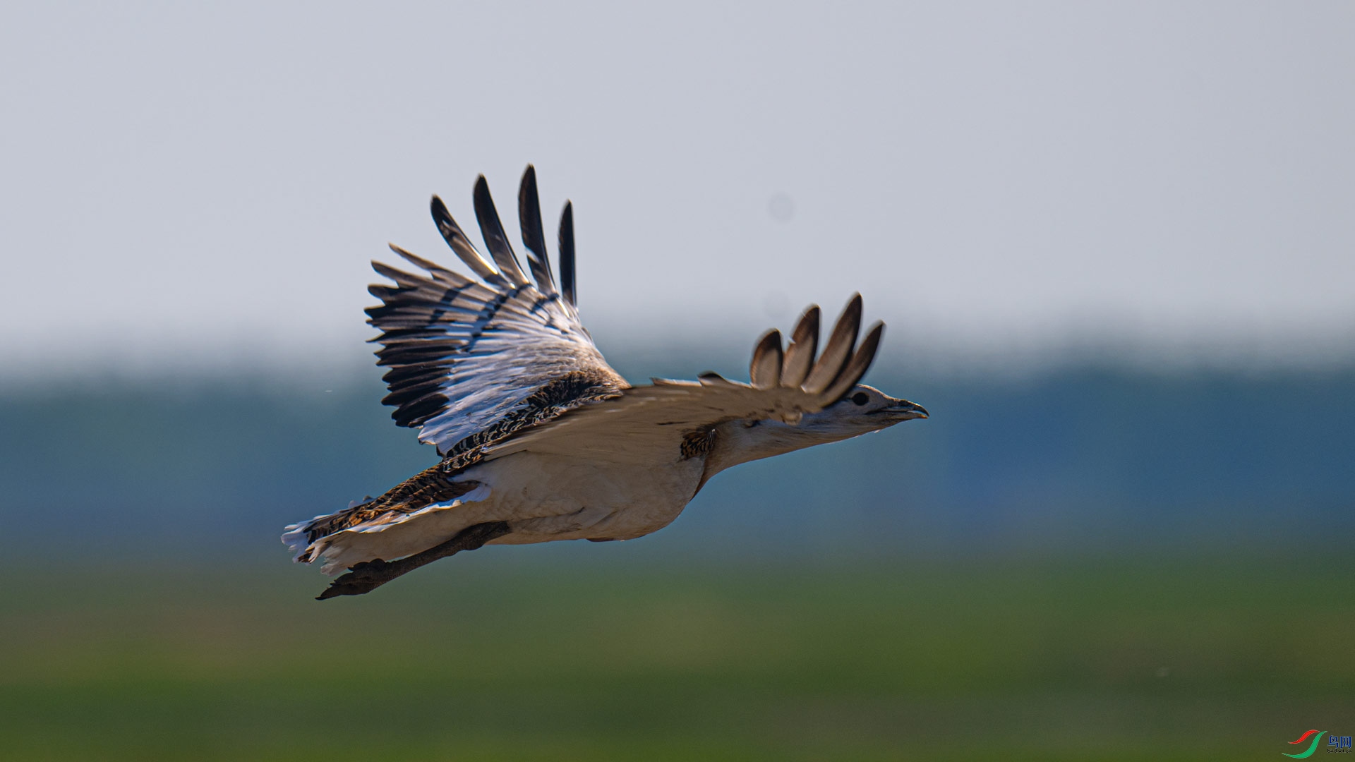 _DSC3386-1x13.jpg