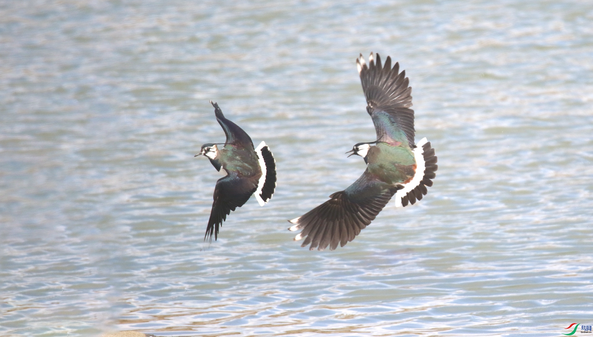 0G1A5726 ����.jpg