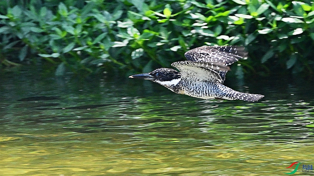 DSC_2092.JPG