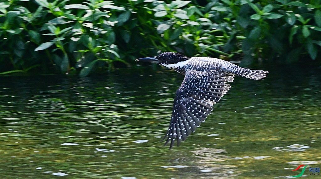 DSC_2085.JPG
