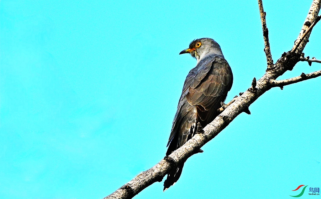 DSC_2154.JPG