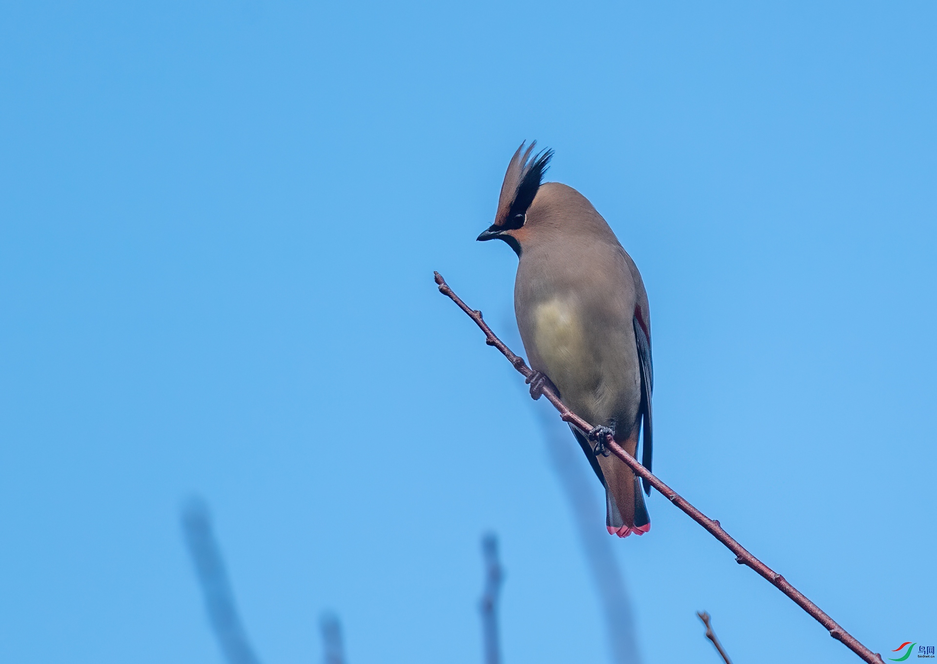 DSC_5341-1.jpg