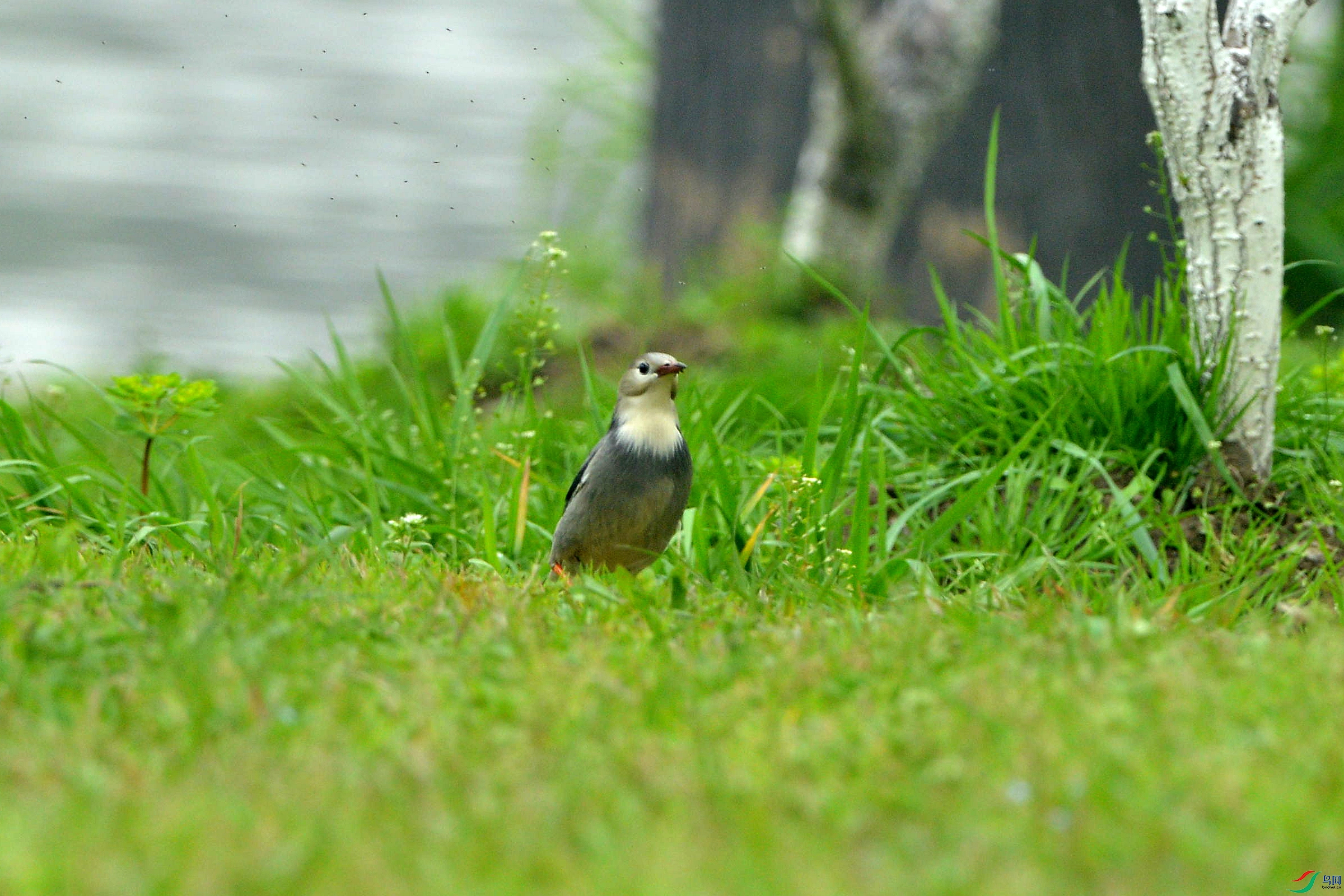 DSC_8624_����.jpg