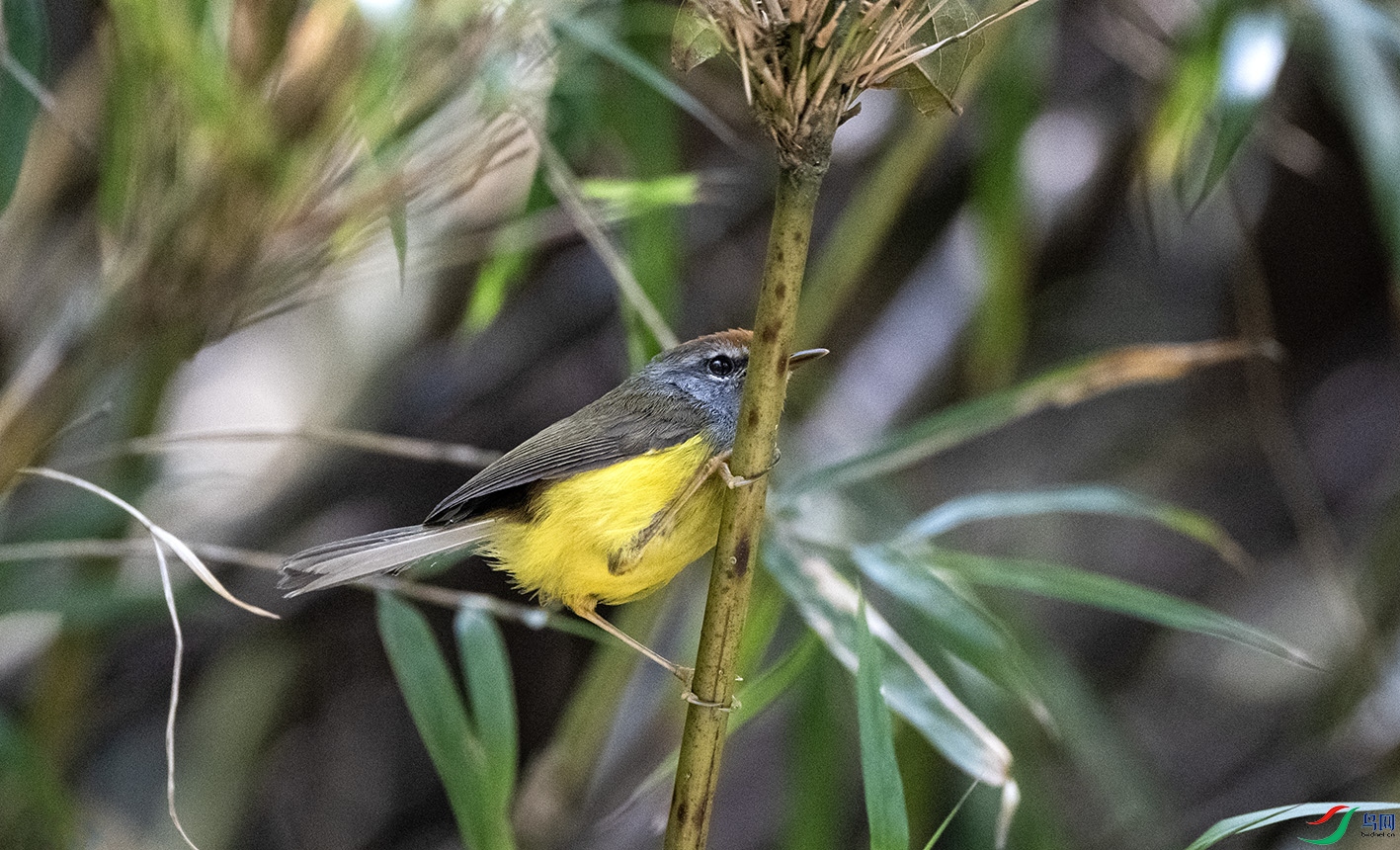 DSC_1726 ����.jpg