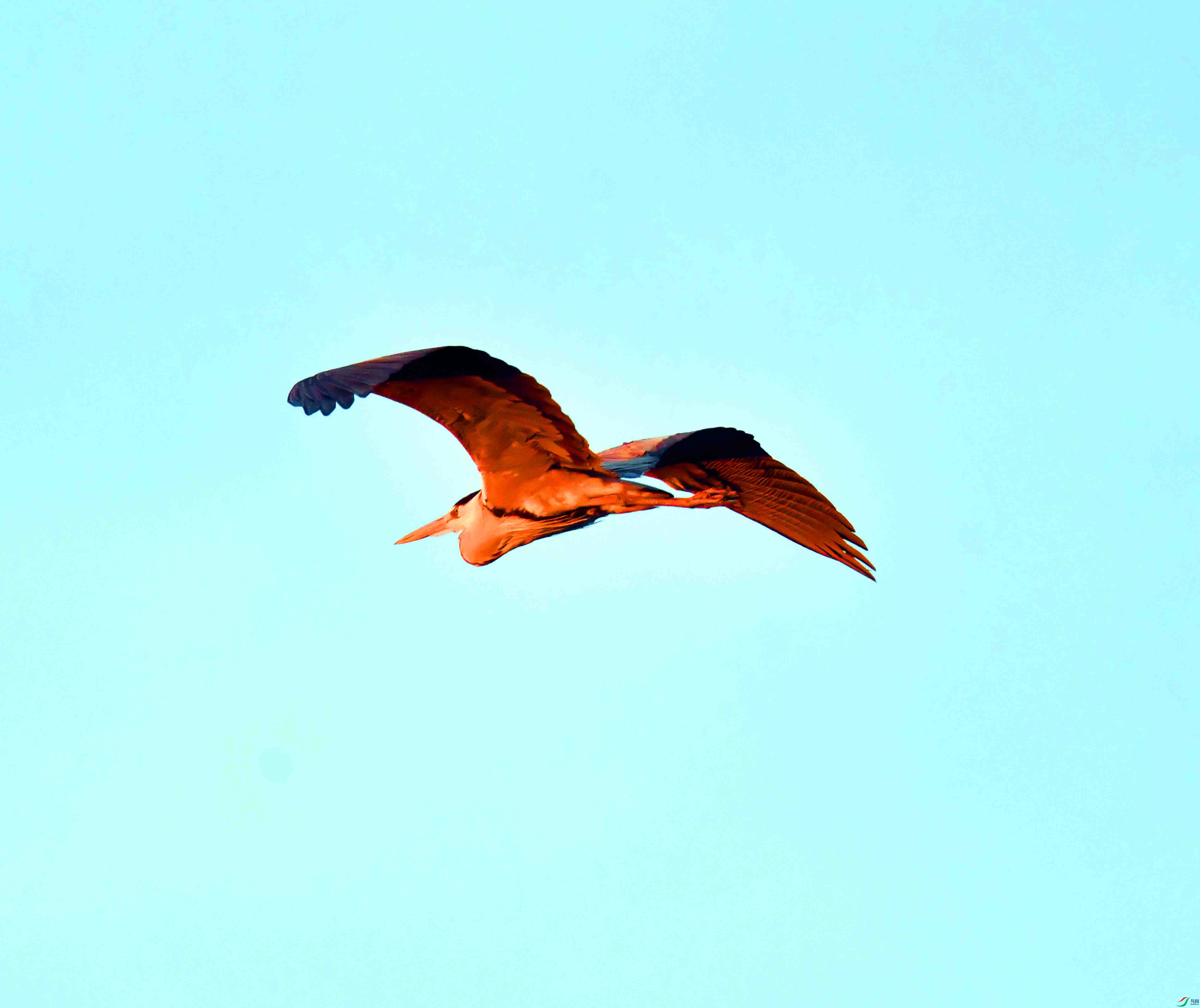 DSC_9581.JPG