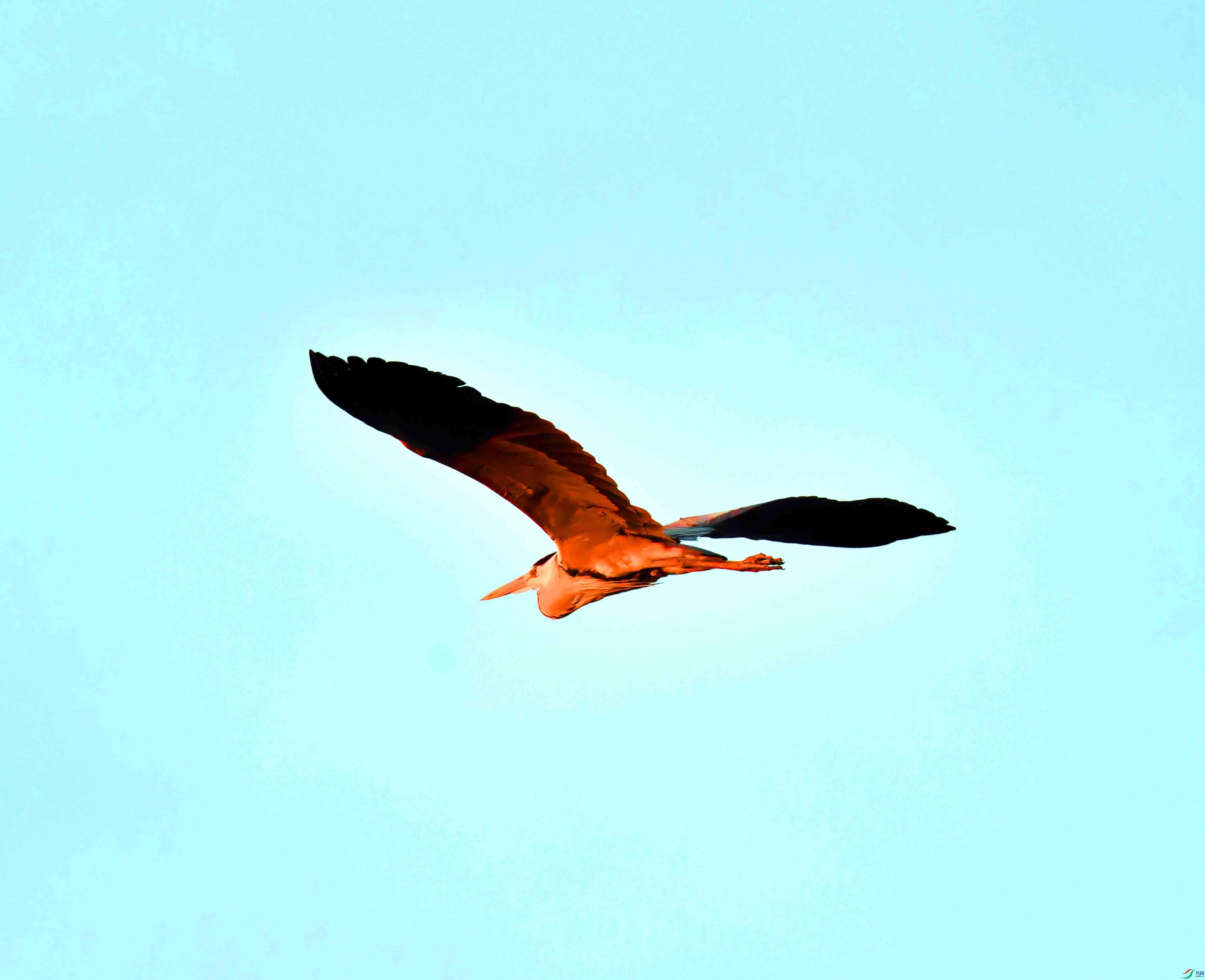 DSC_9582.JPG