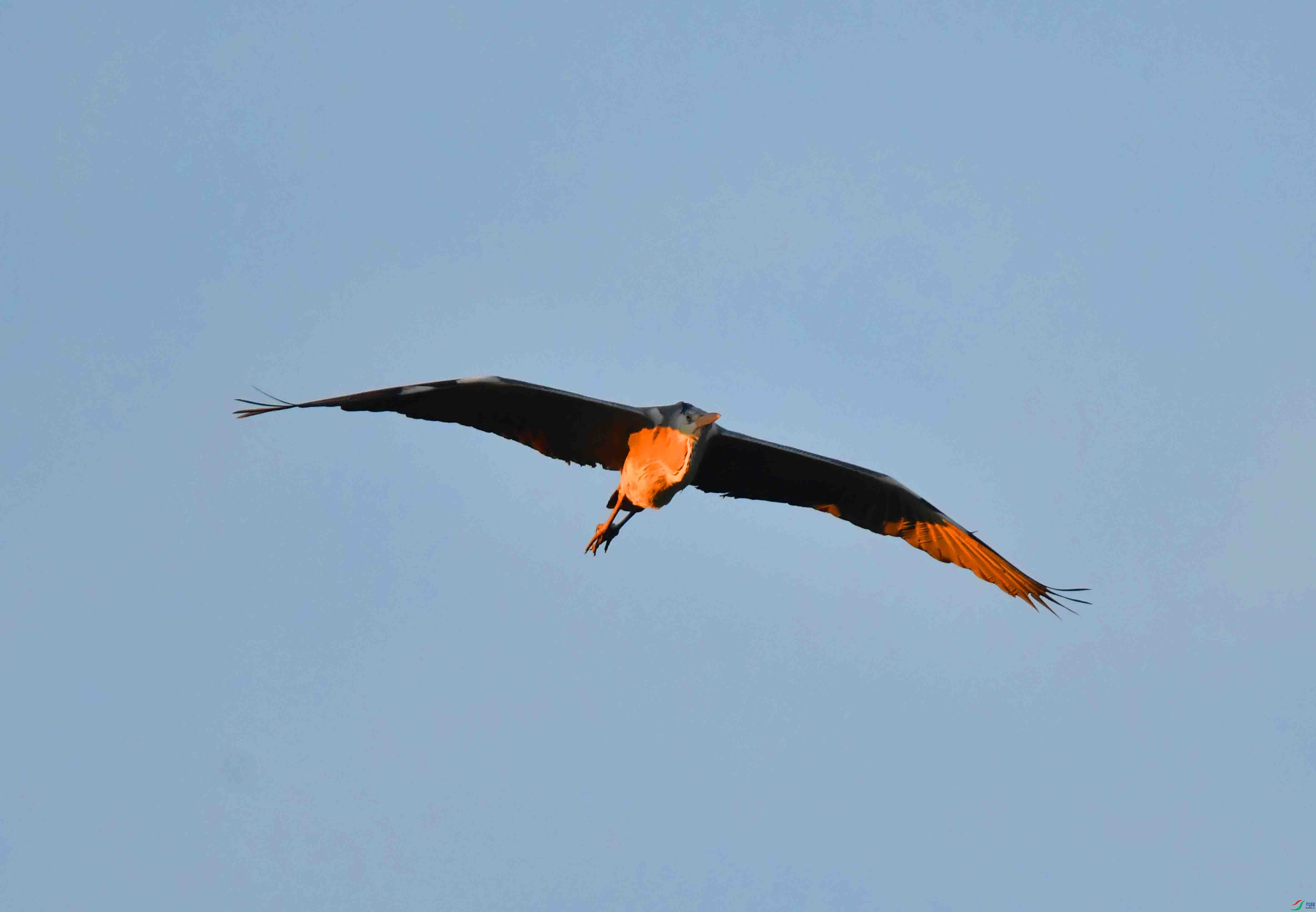 DSC_9618.JPG