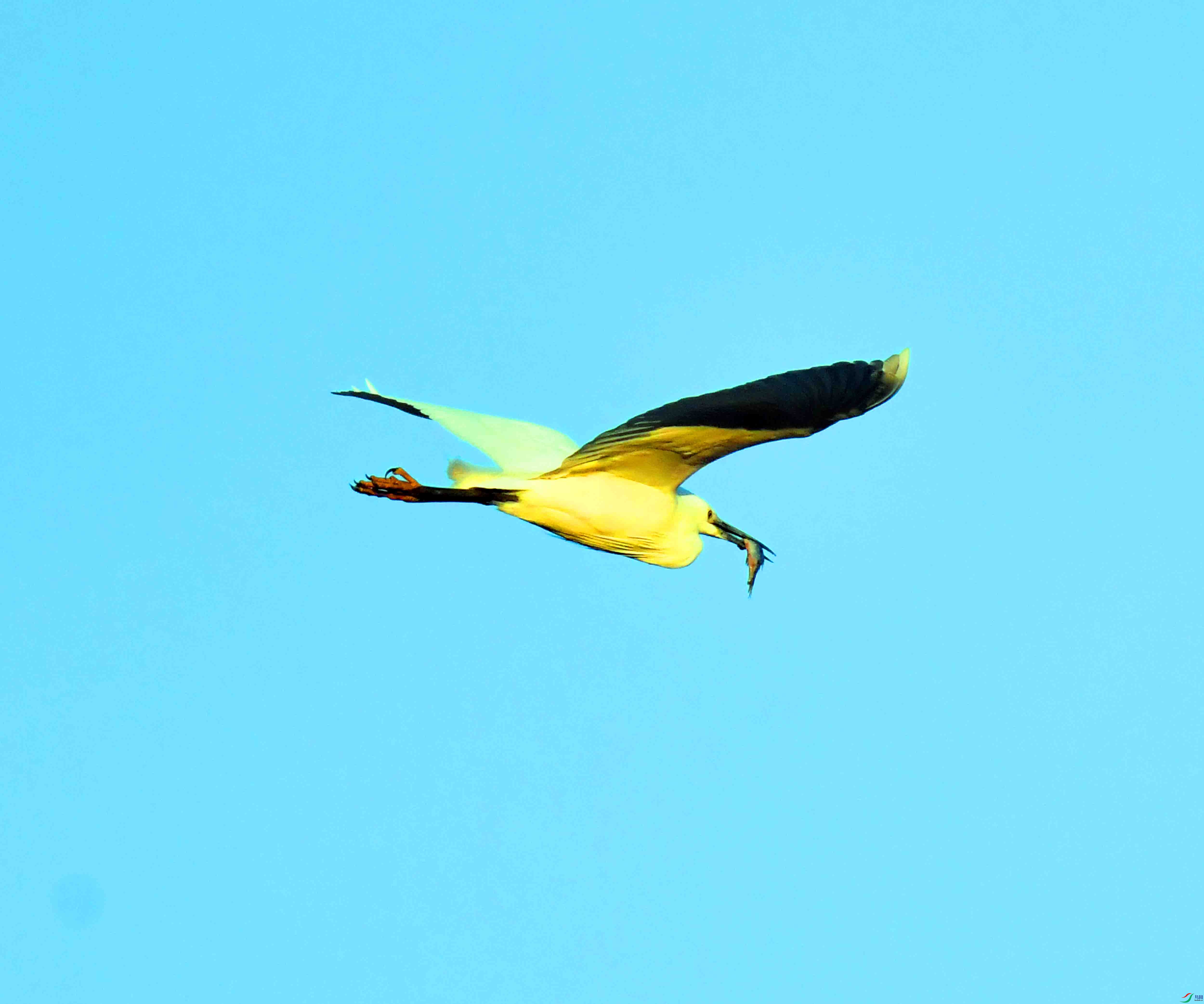 DSC_9644.JPG