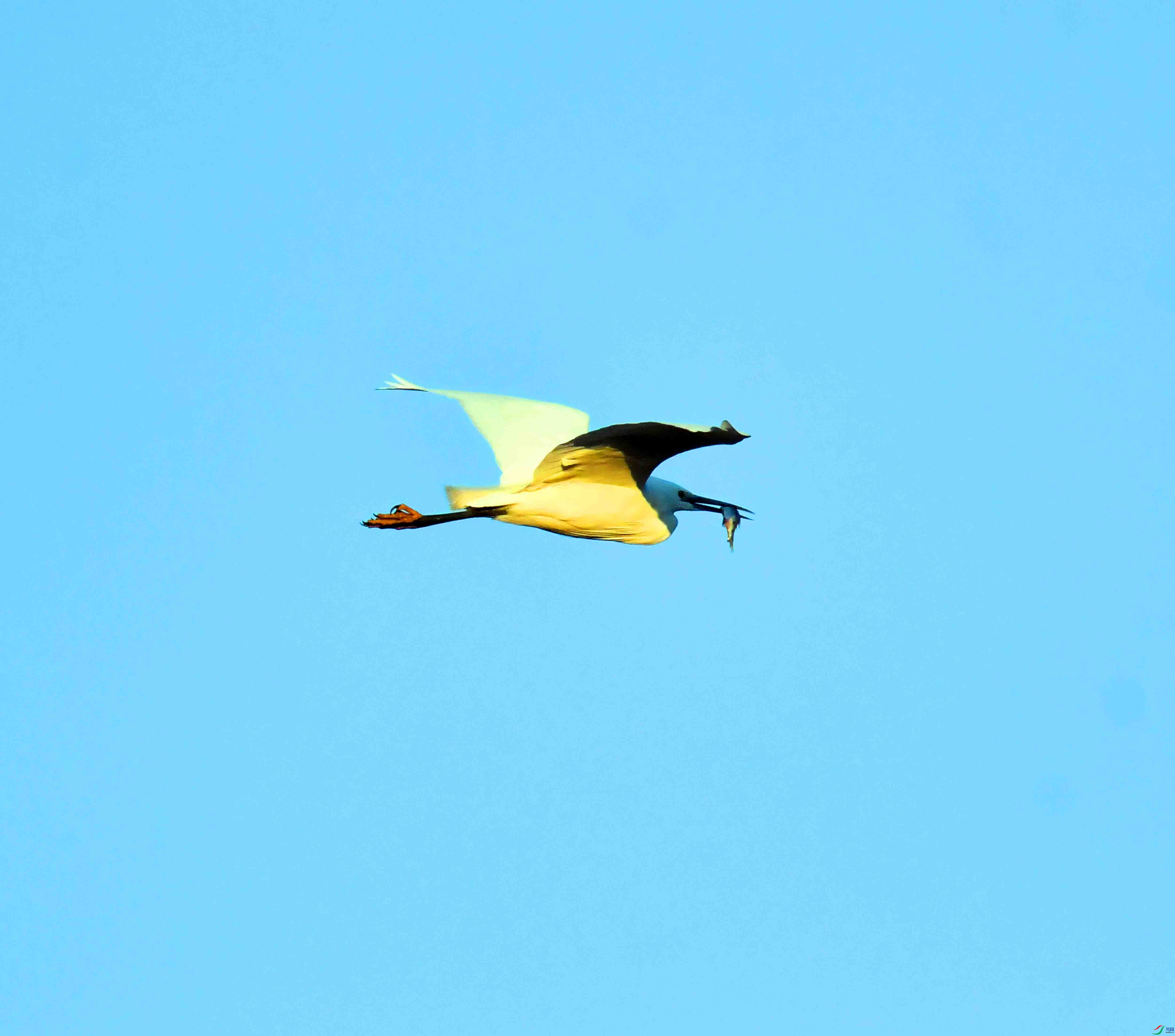 DSC_9646.JPG