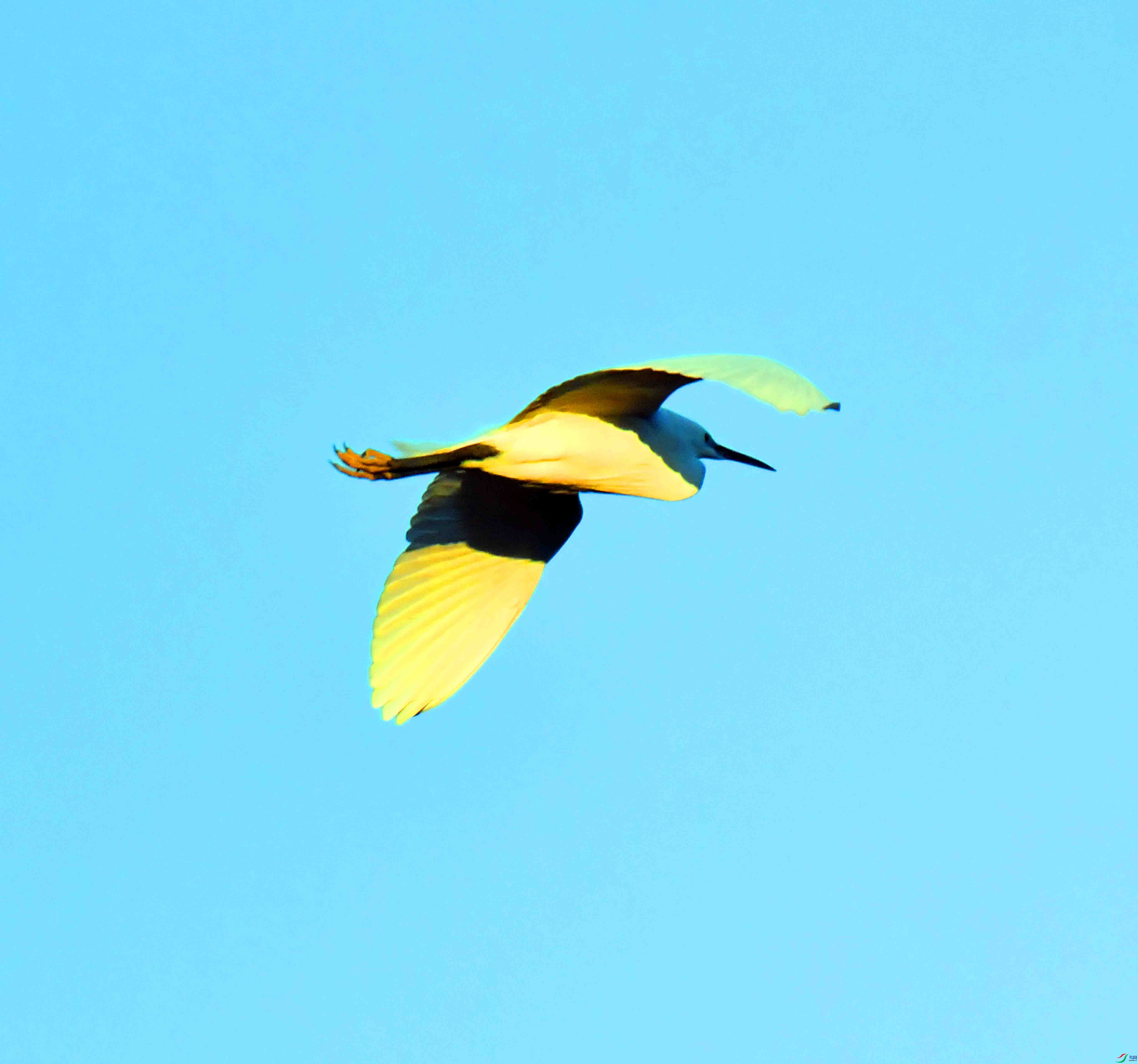DSC_9671.JPG