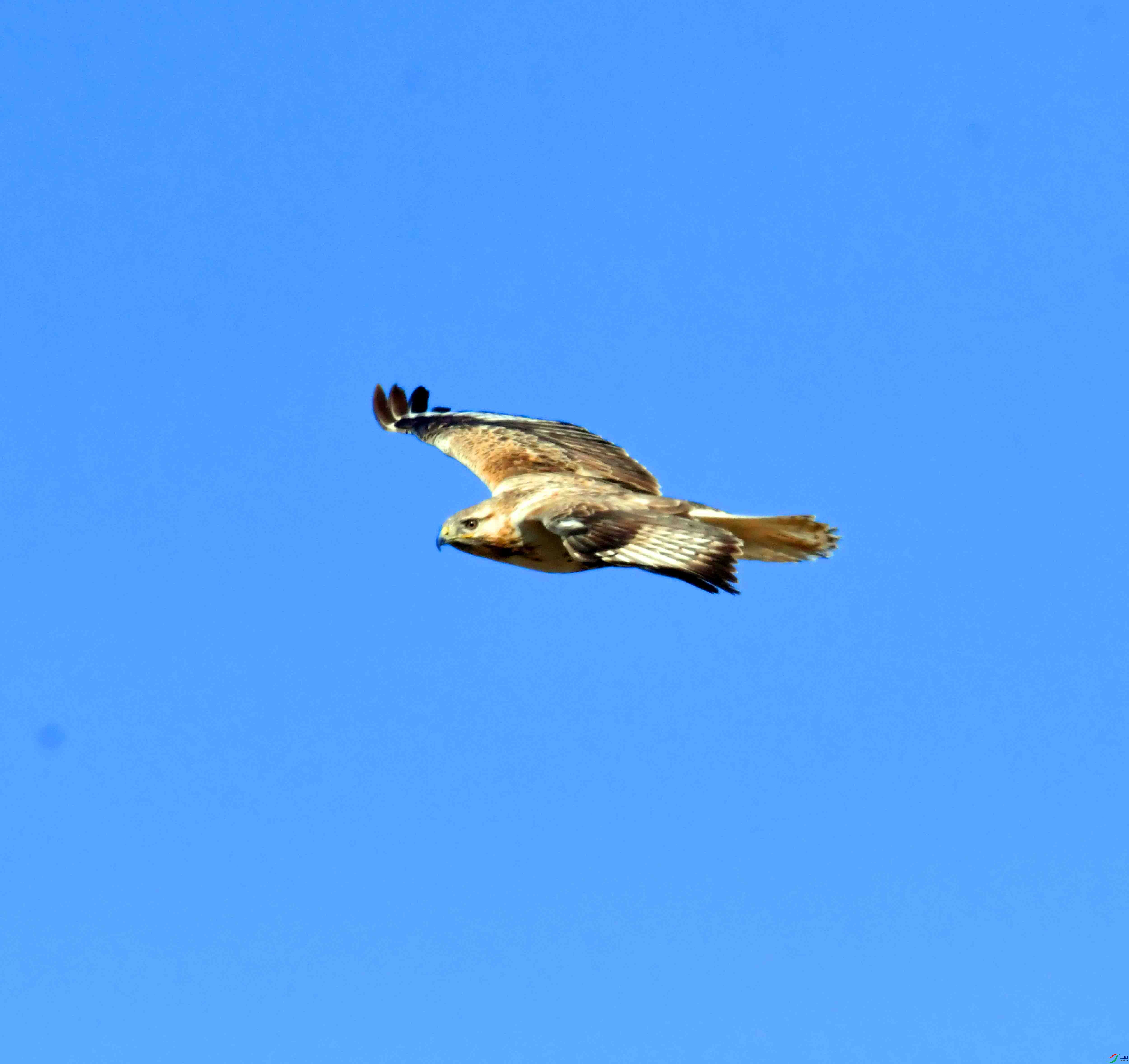 DSC_5206.JPG