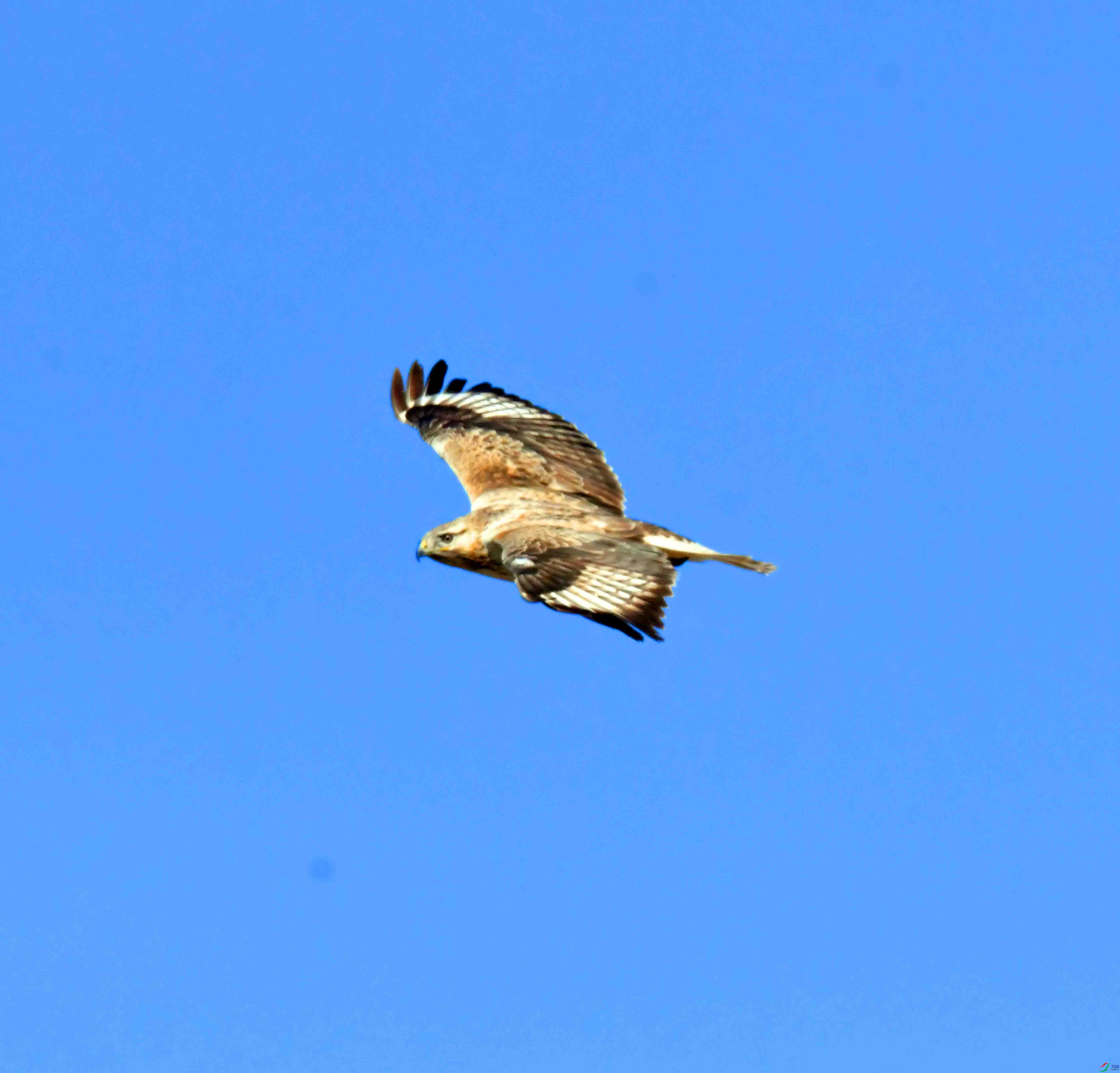 DSC_5205.JPG