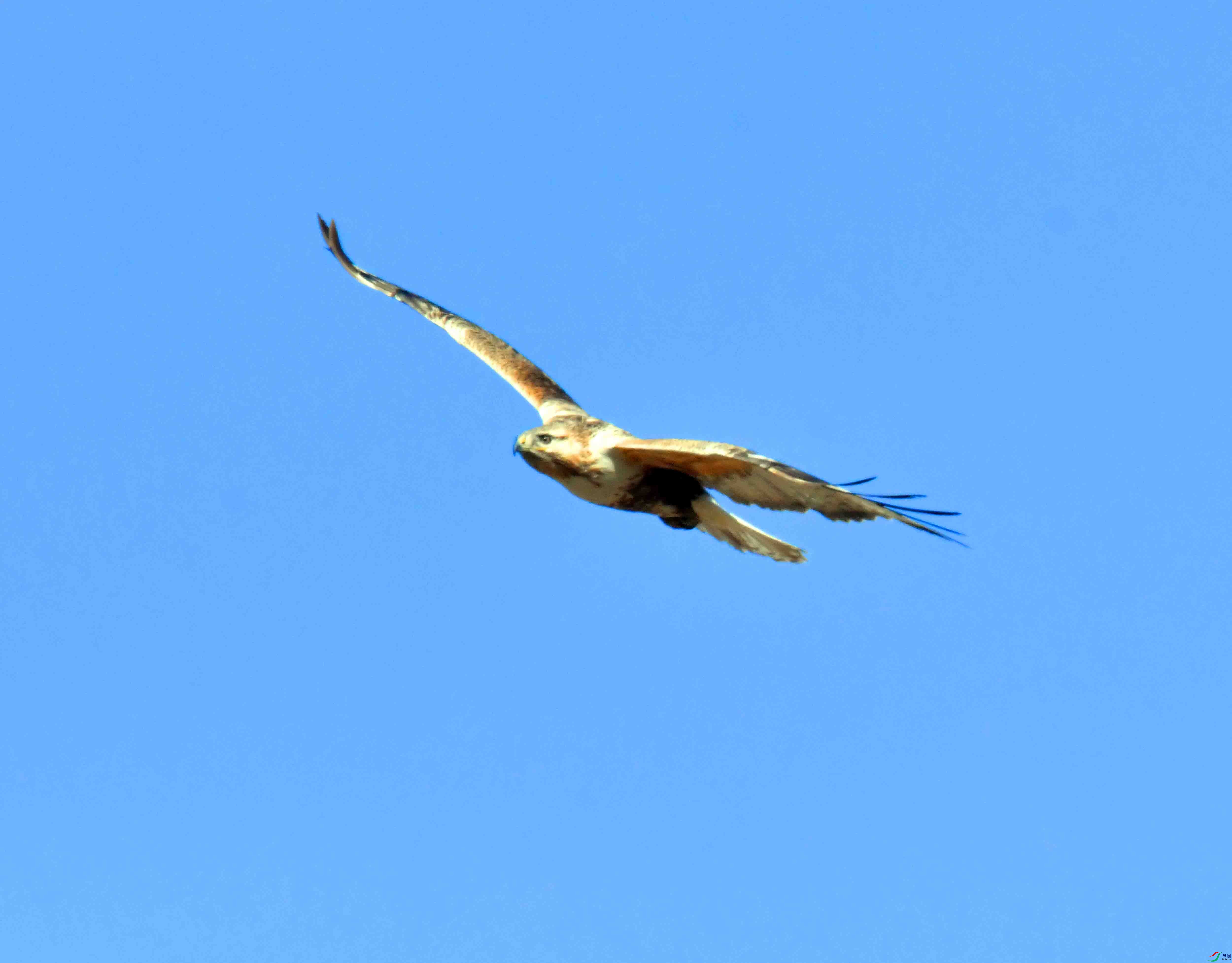DSC_5210.JPG