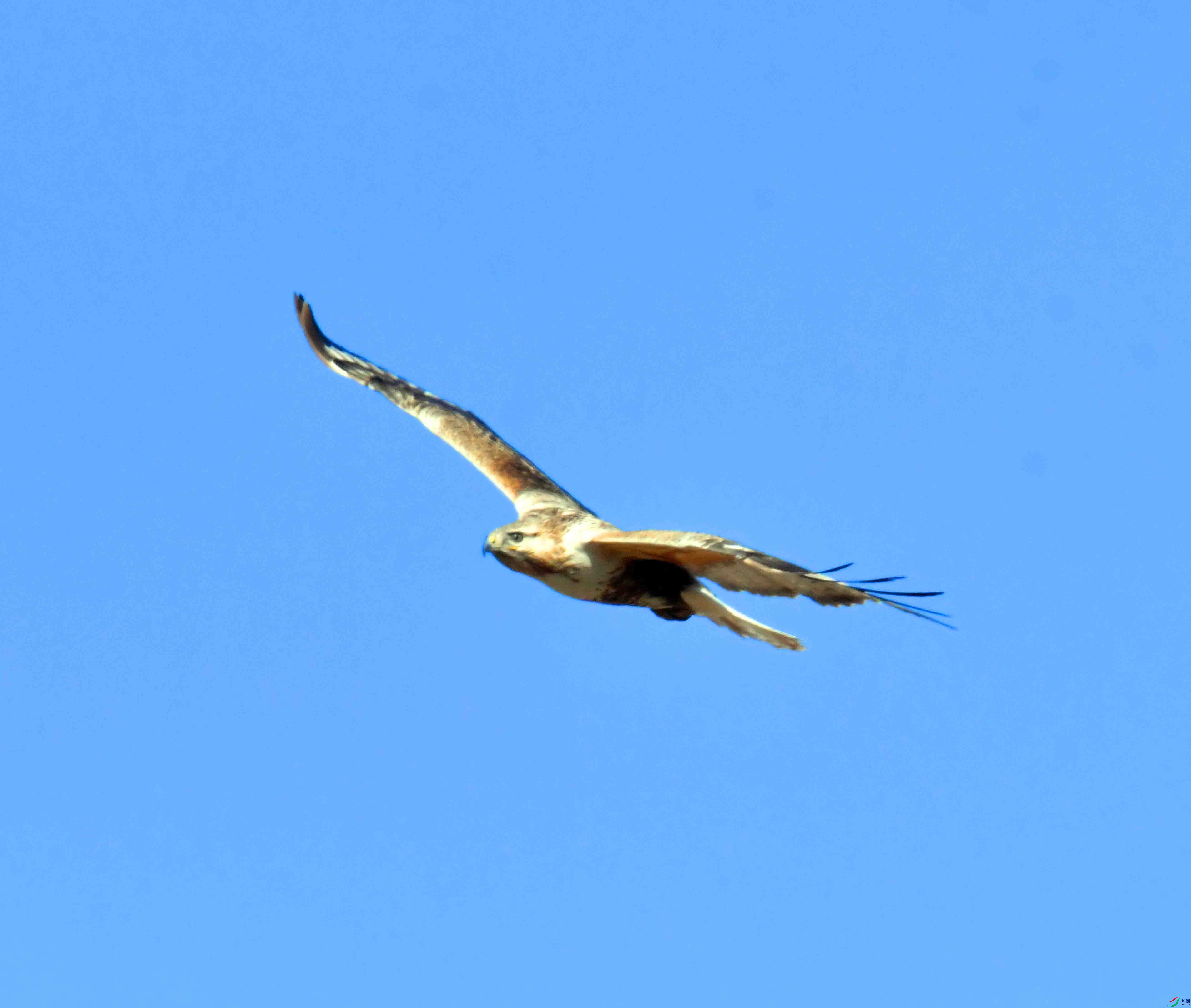 DSC_5209.JPG