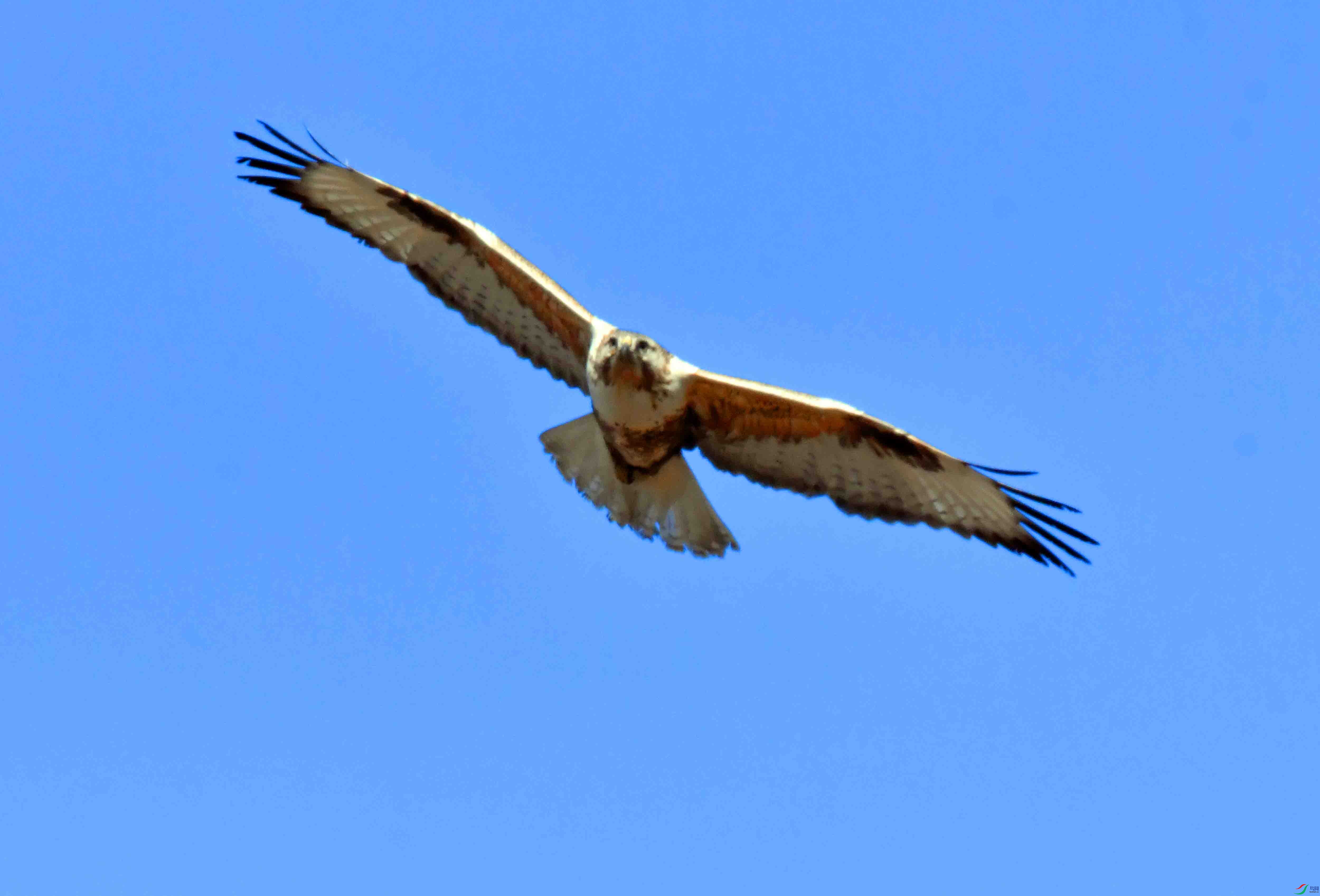 DSC_5211.JPG