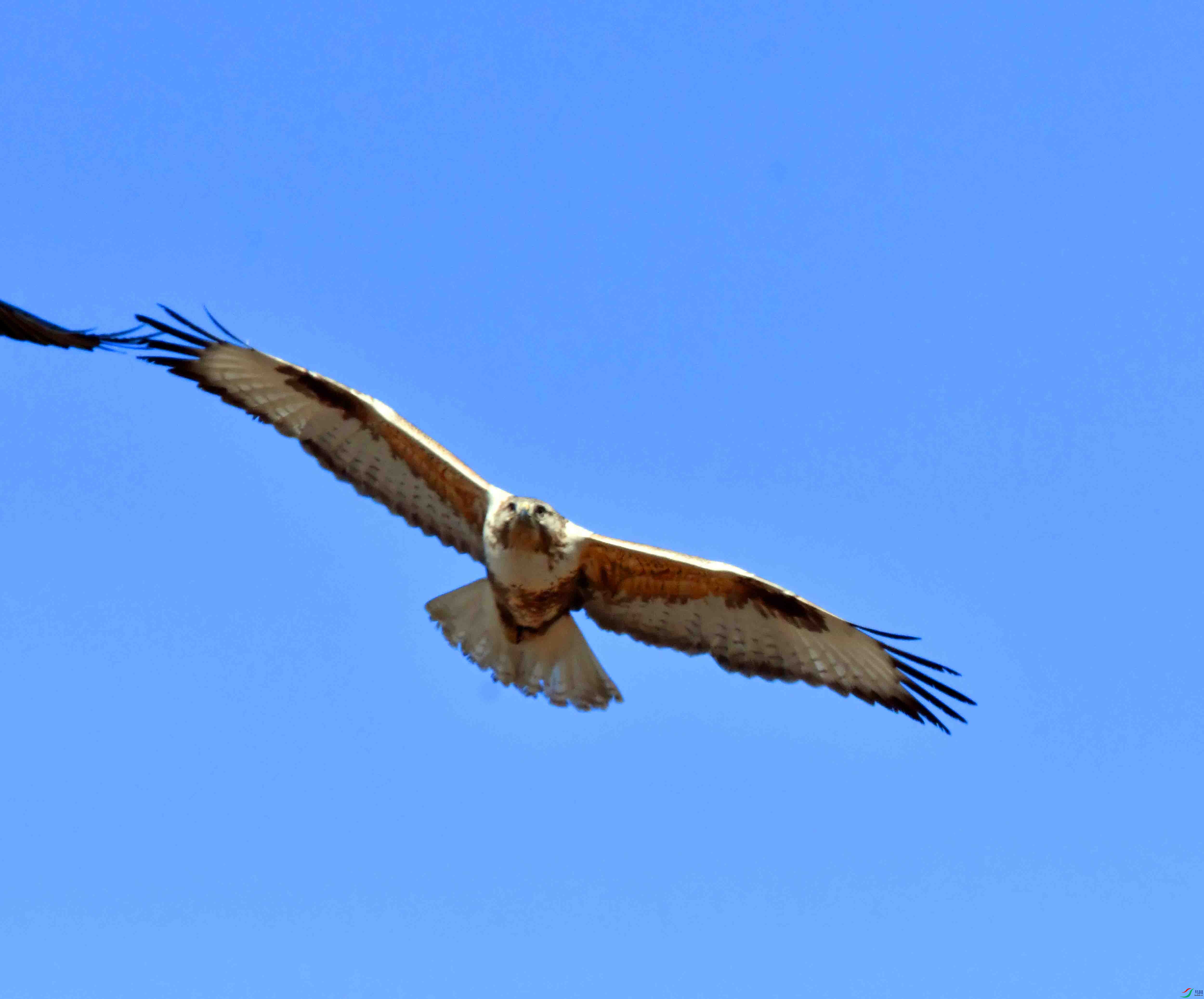 DSC_5212.JPG