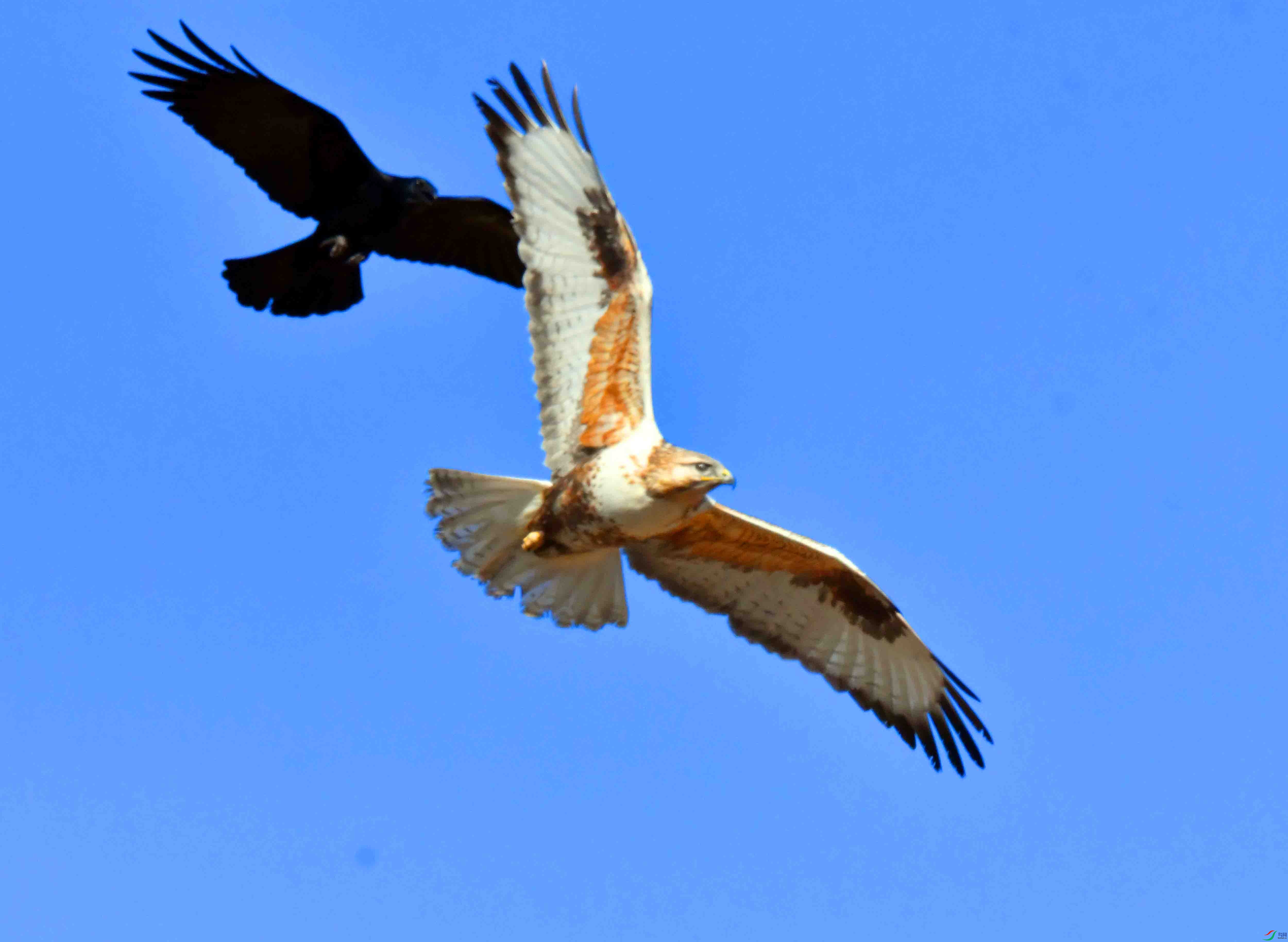 DSC_5213.JPG