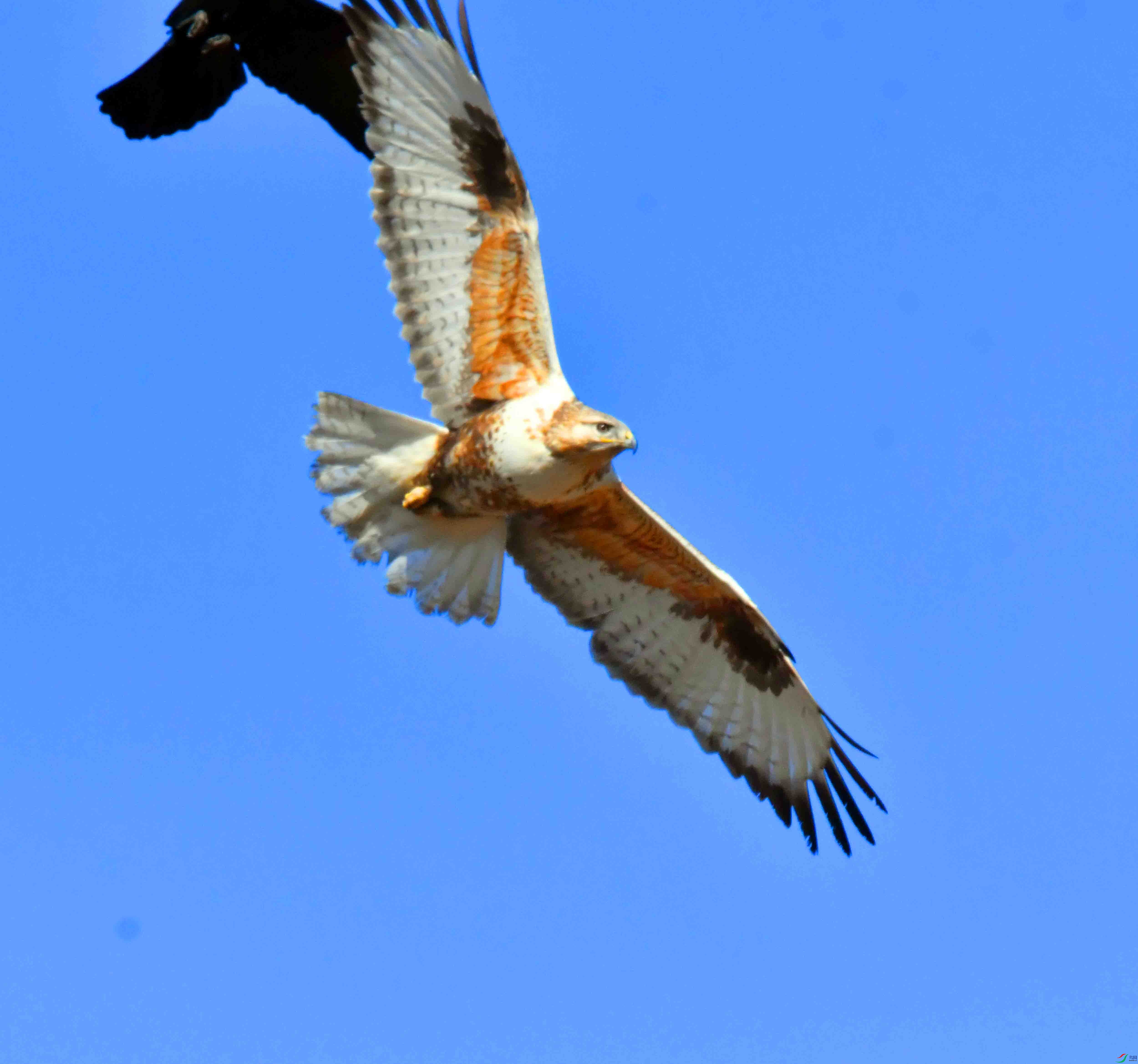 DSC_5214.JPG