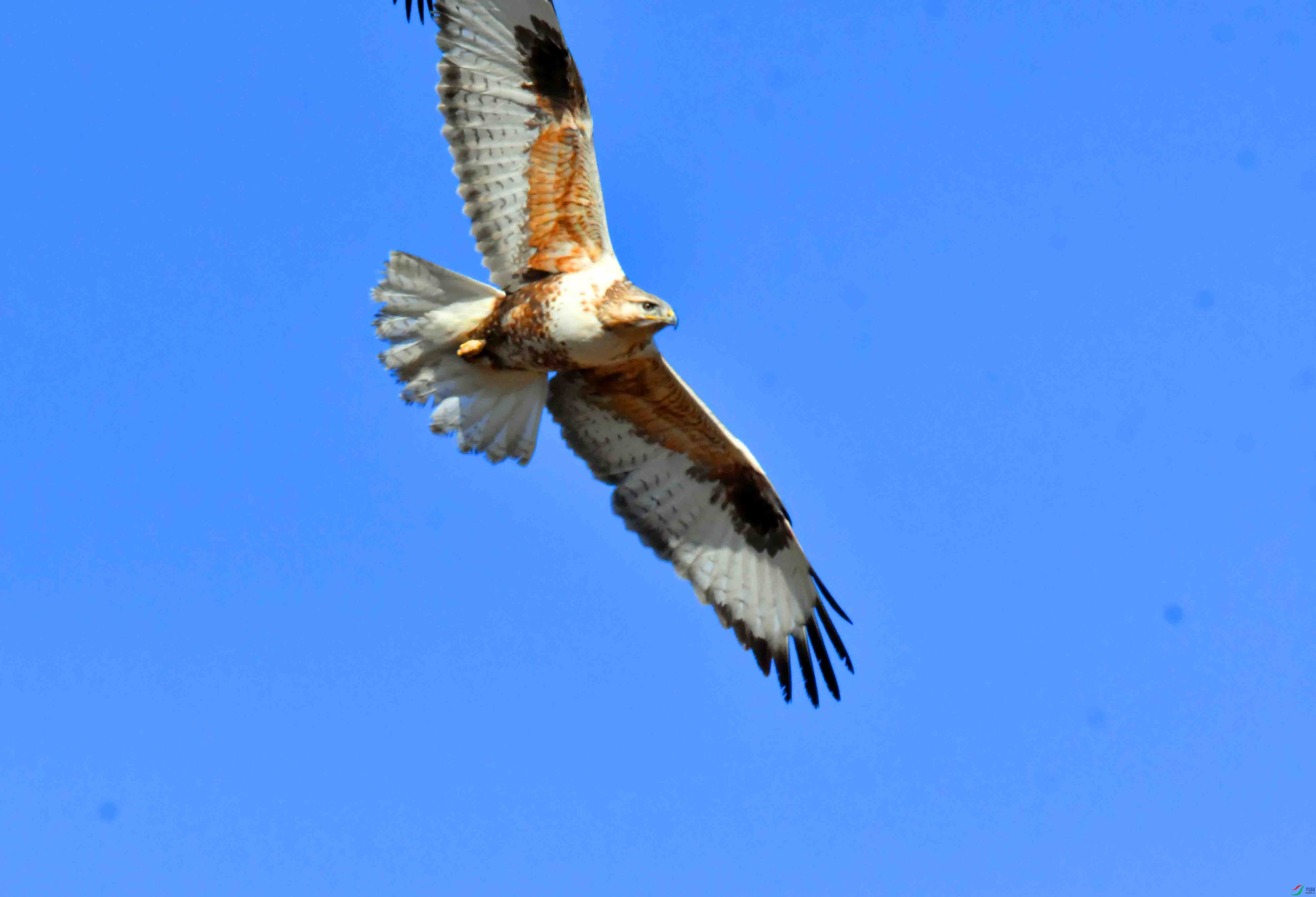 DSC_5215.JPG