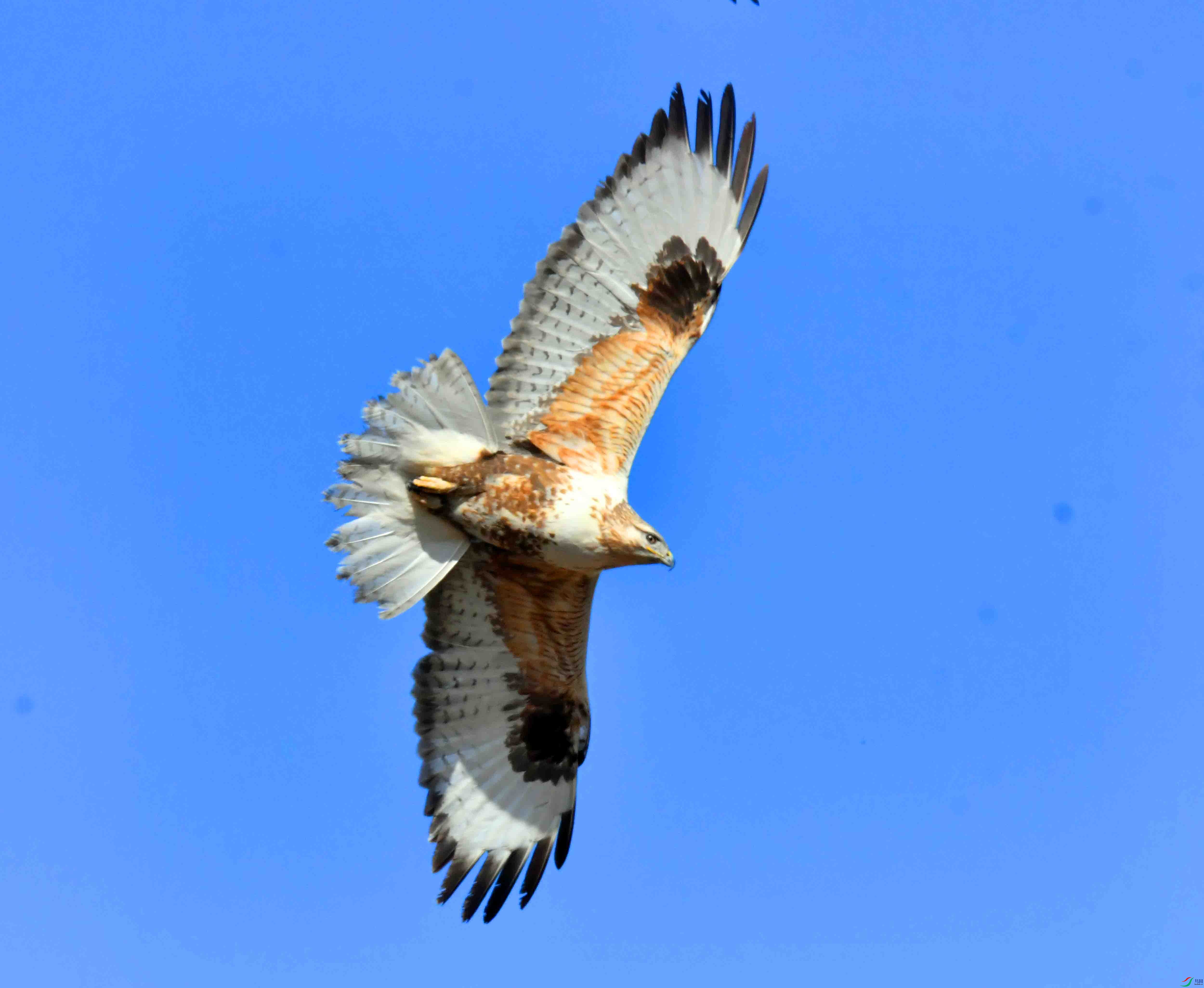 DSC_5218.JPG